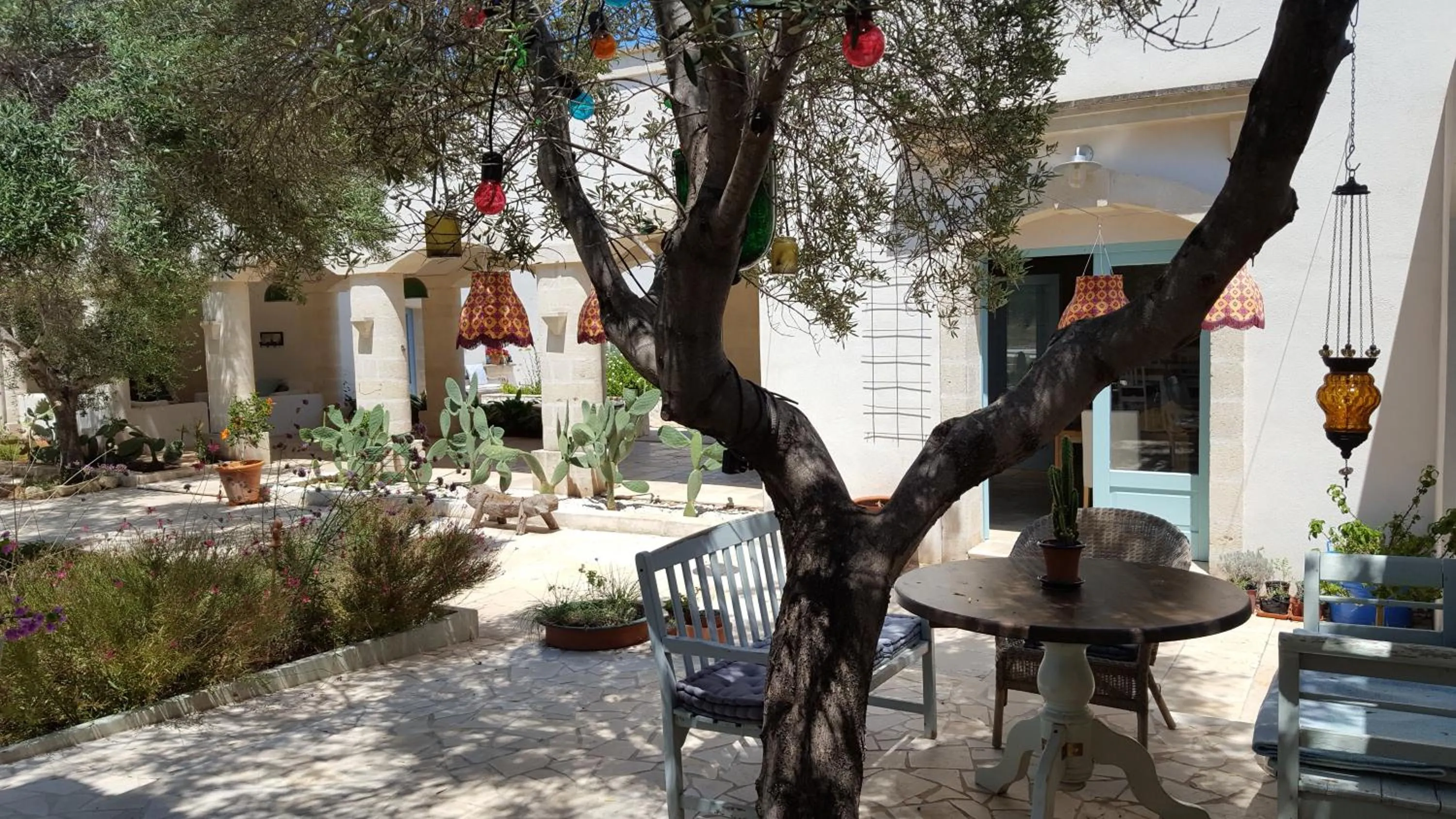 Garden view in The Proud Garden