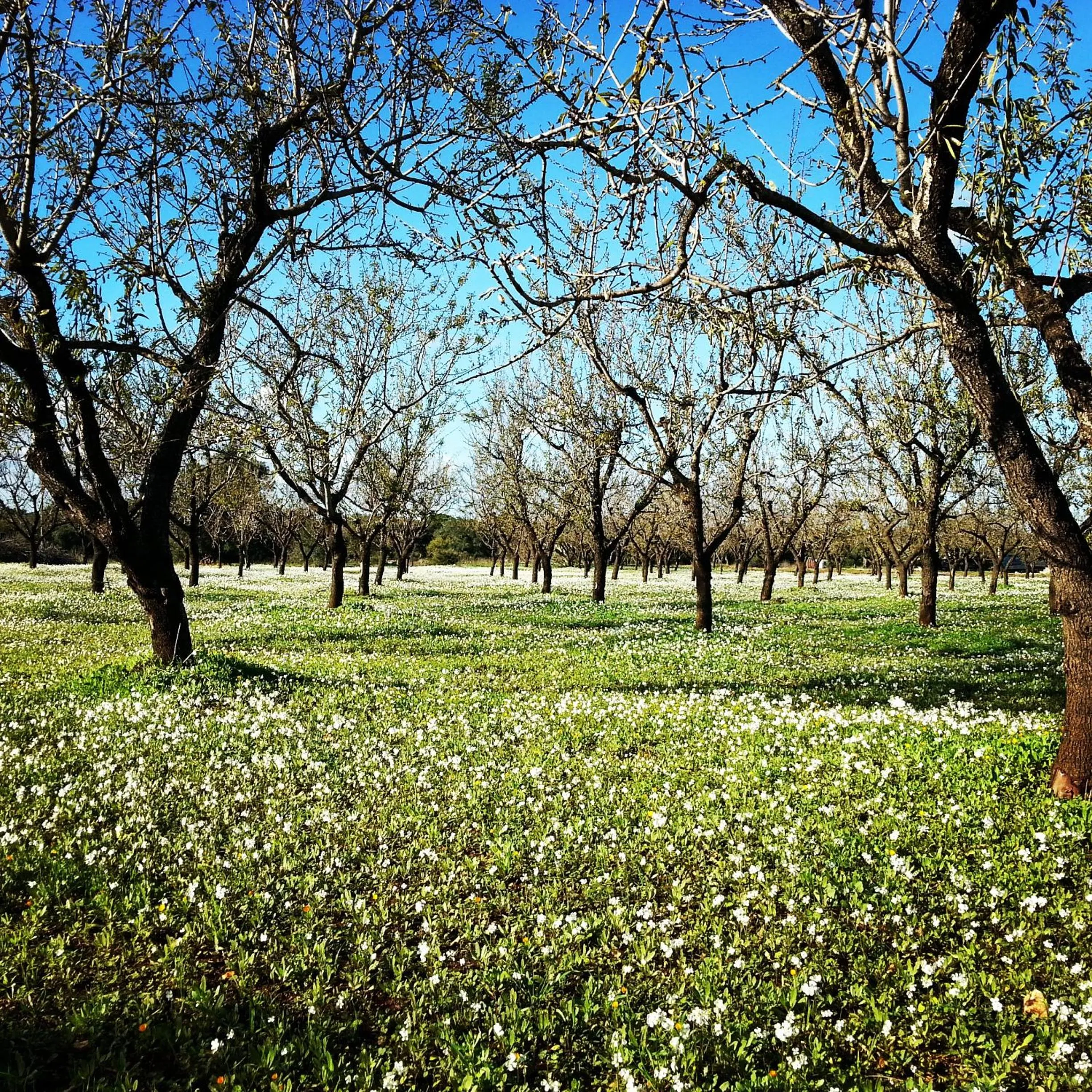 Day in The Proud Garden