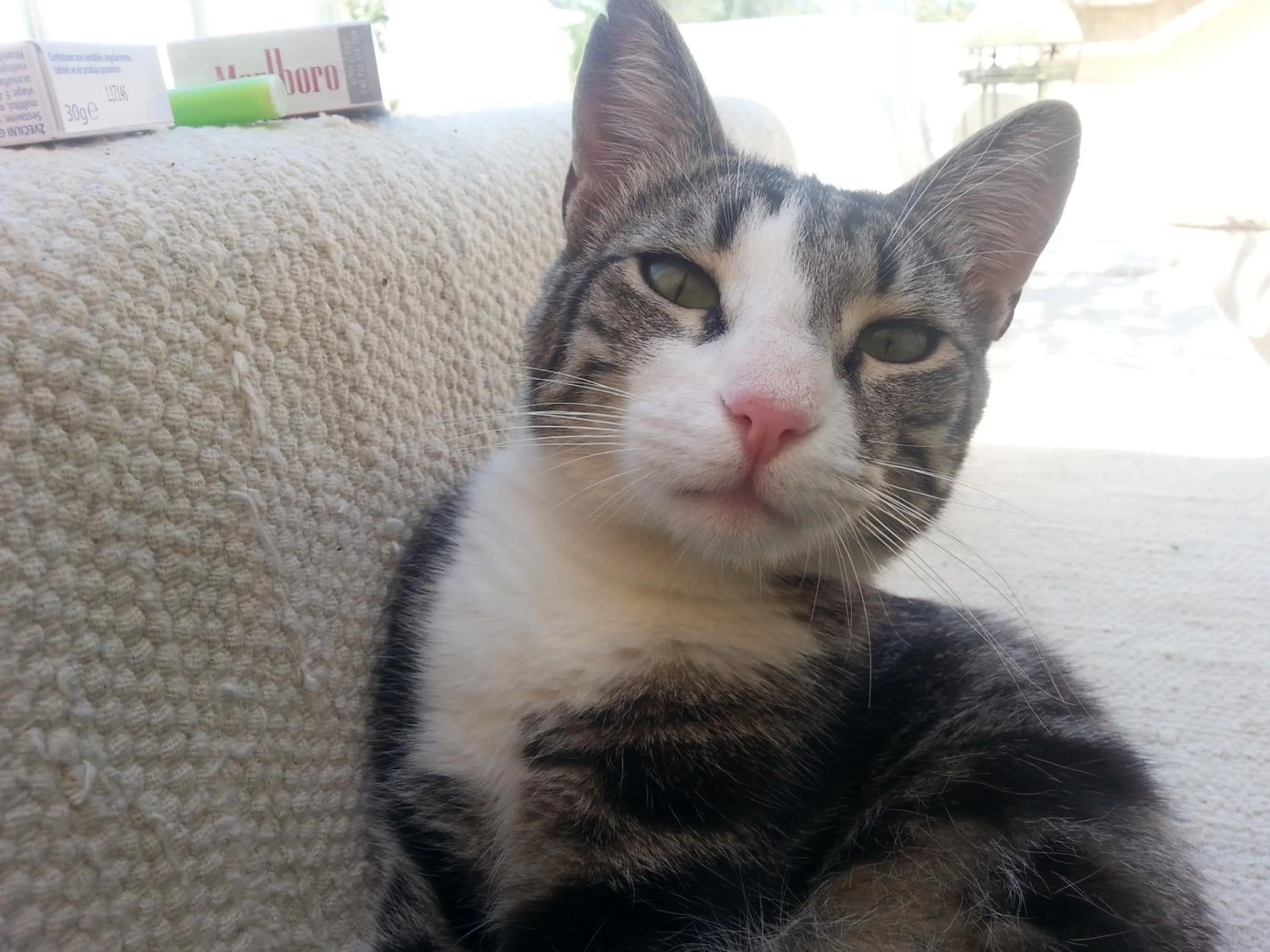 Staff in The Proud Garden