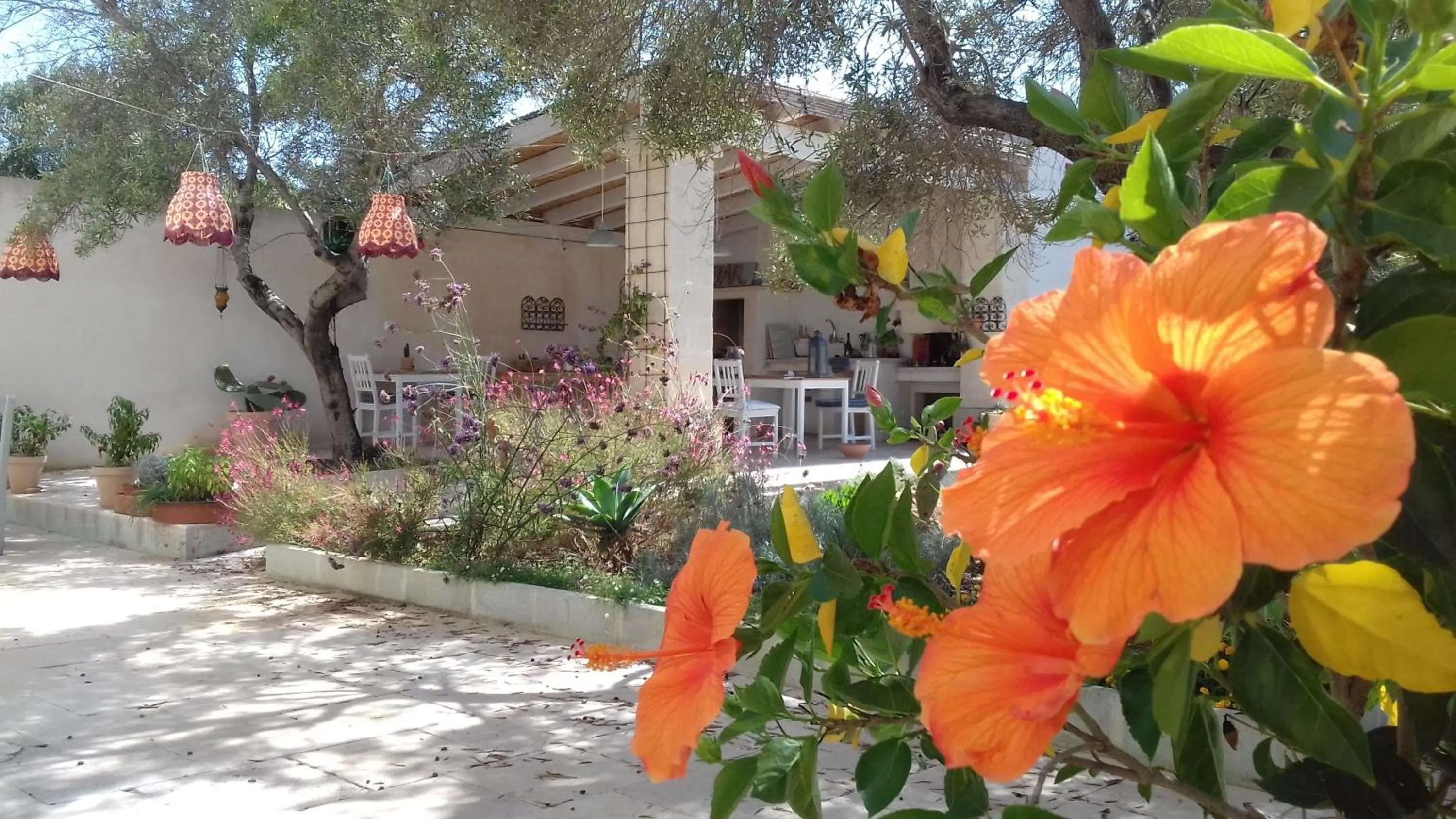 BBQ facilities in The Proud Garden