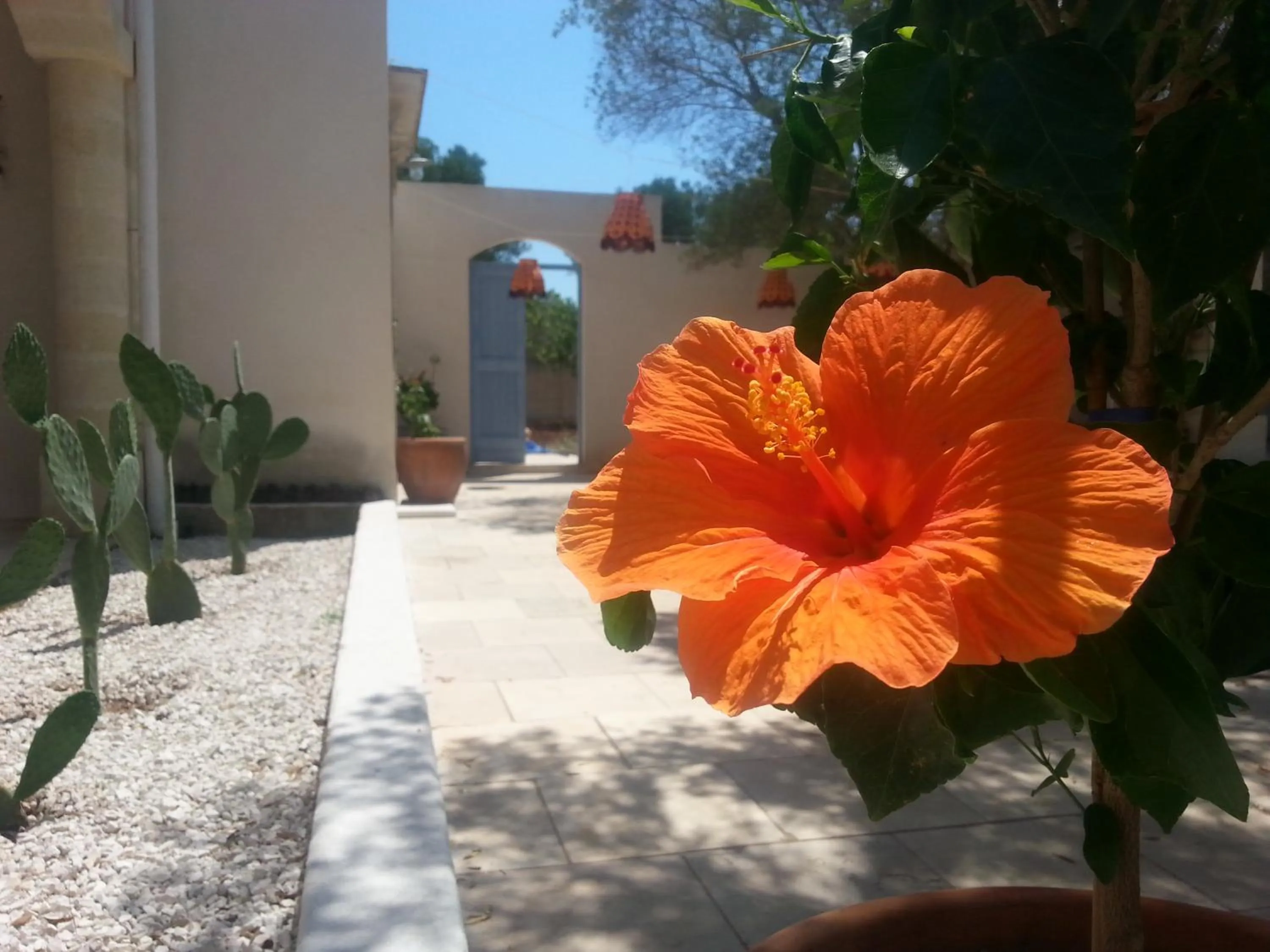 Day in The Proud Garden