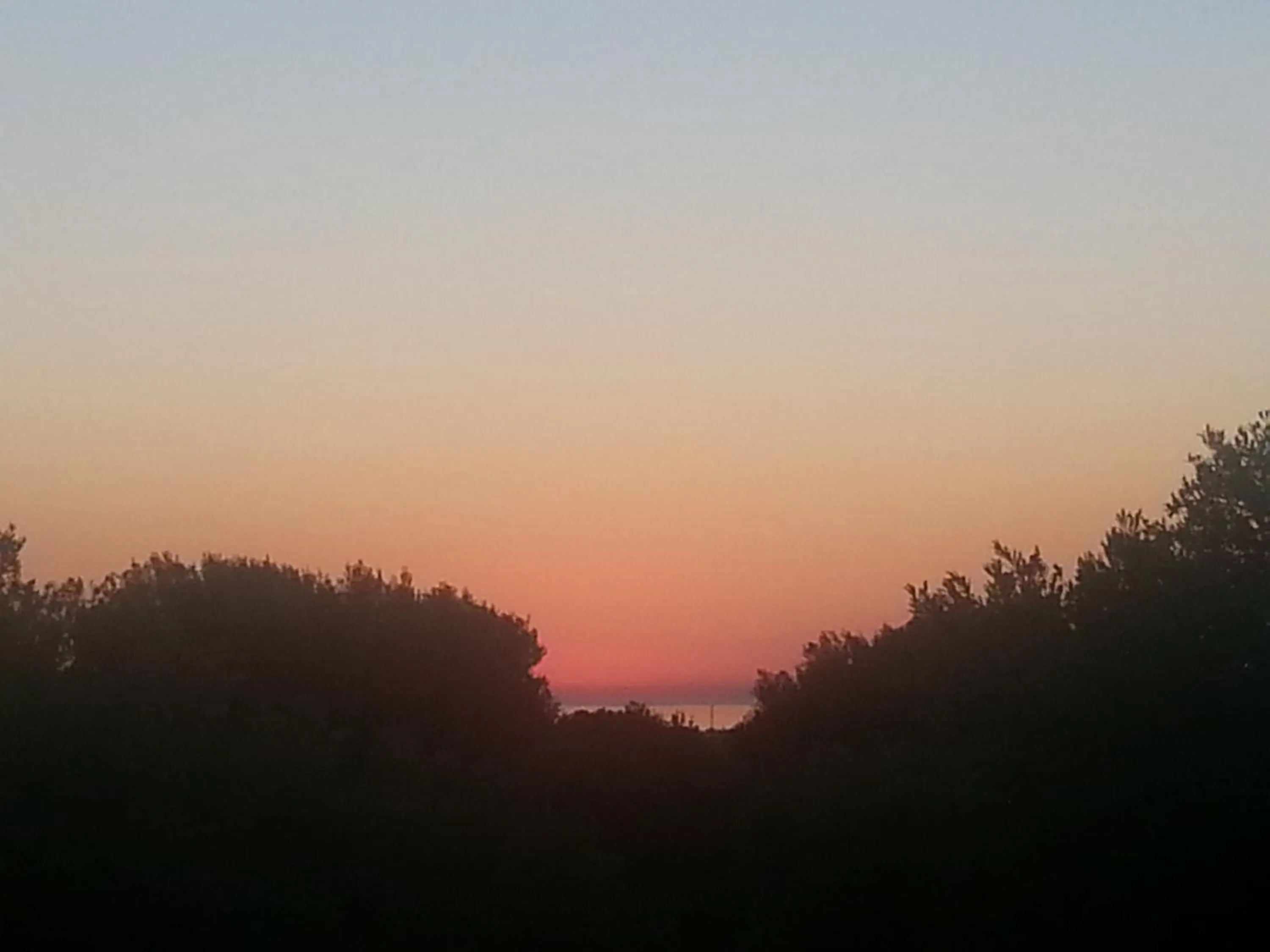 Summer in The Proud Garden