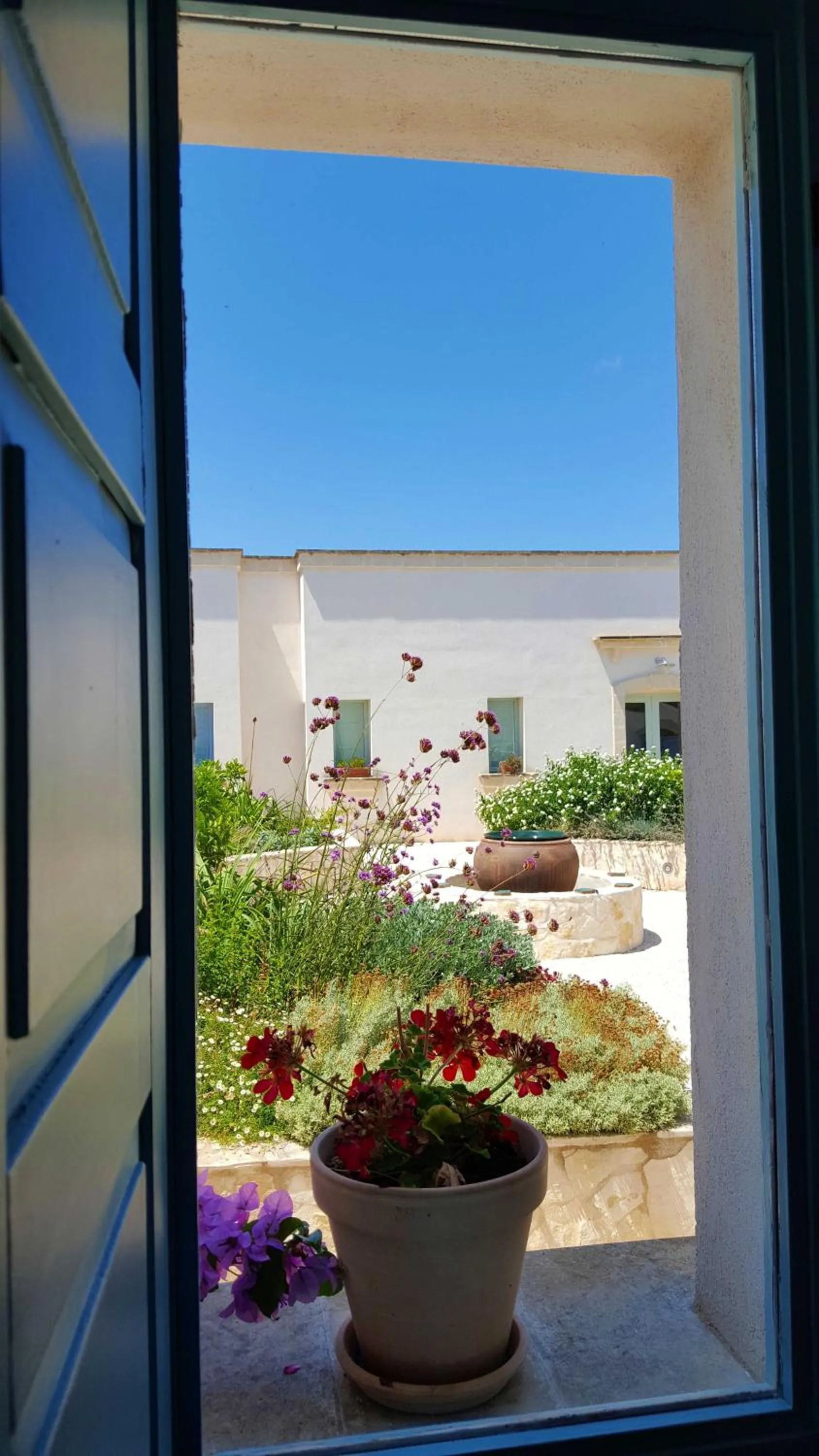 Garden view in The Proud Garden