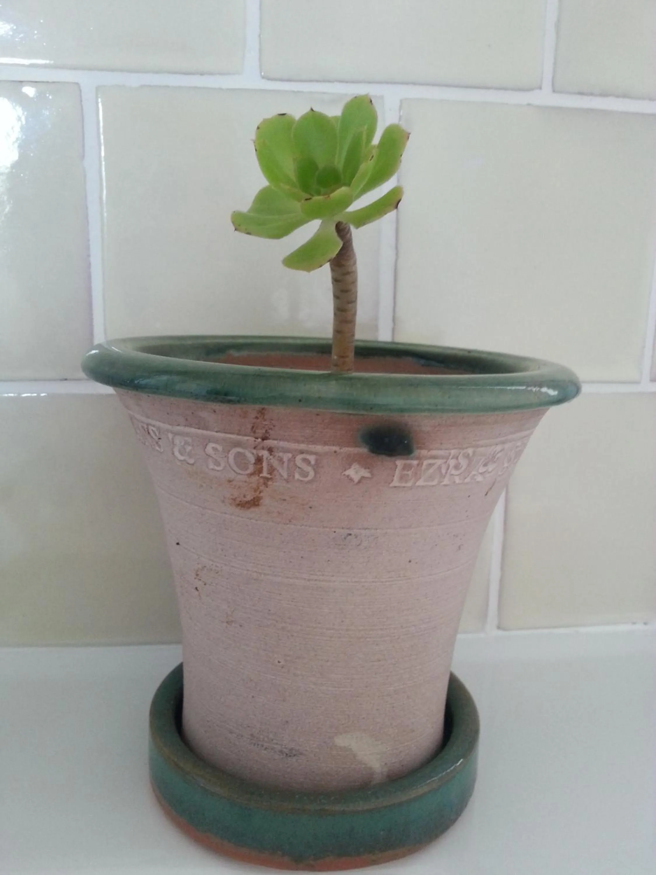 Bathroom in The Proud Garden