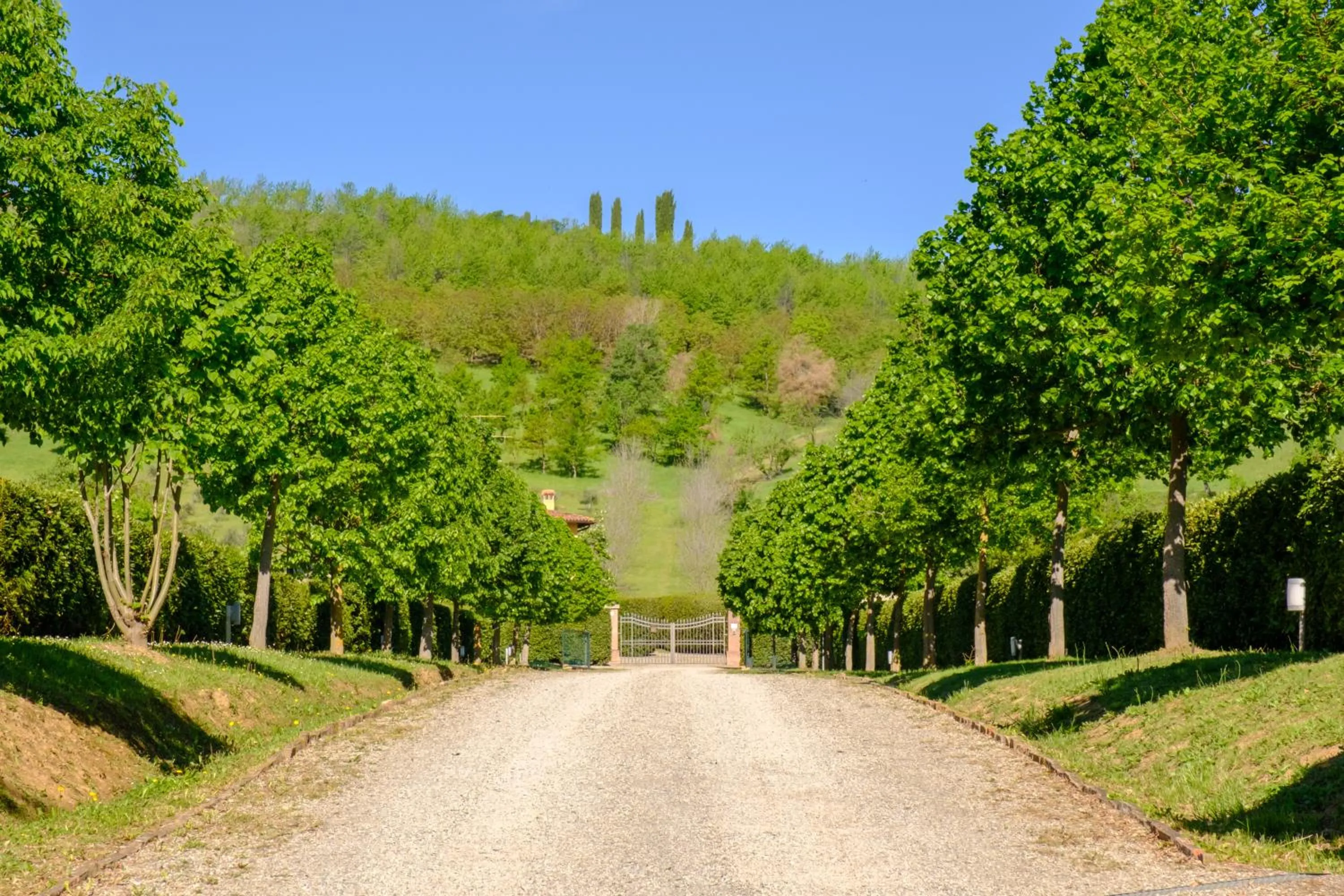Natural landscape in BolognaRoomscom - La Quercia