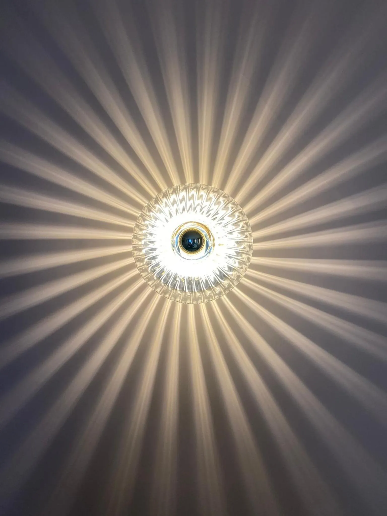 Decorative detail in ELSA, Hôtel Paris