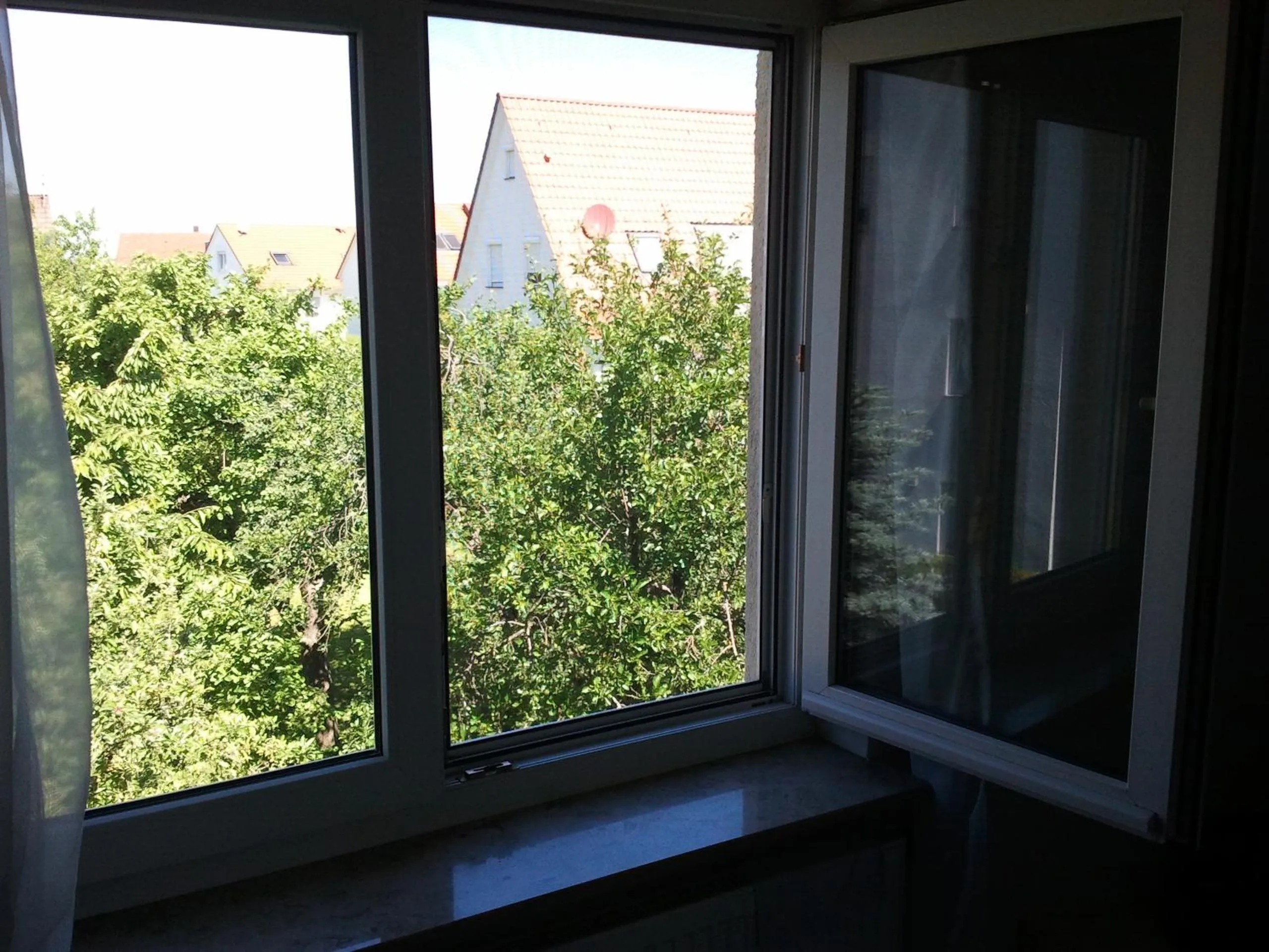 View (from property/room) in Komfort Apartment 1 DG Jürgen Kunzi