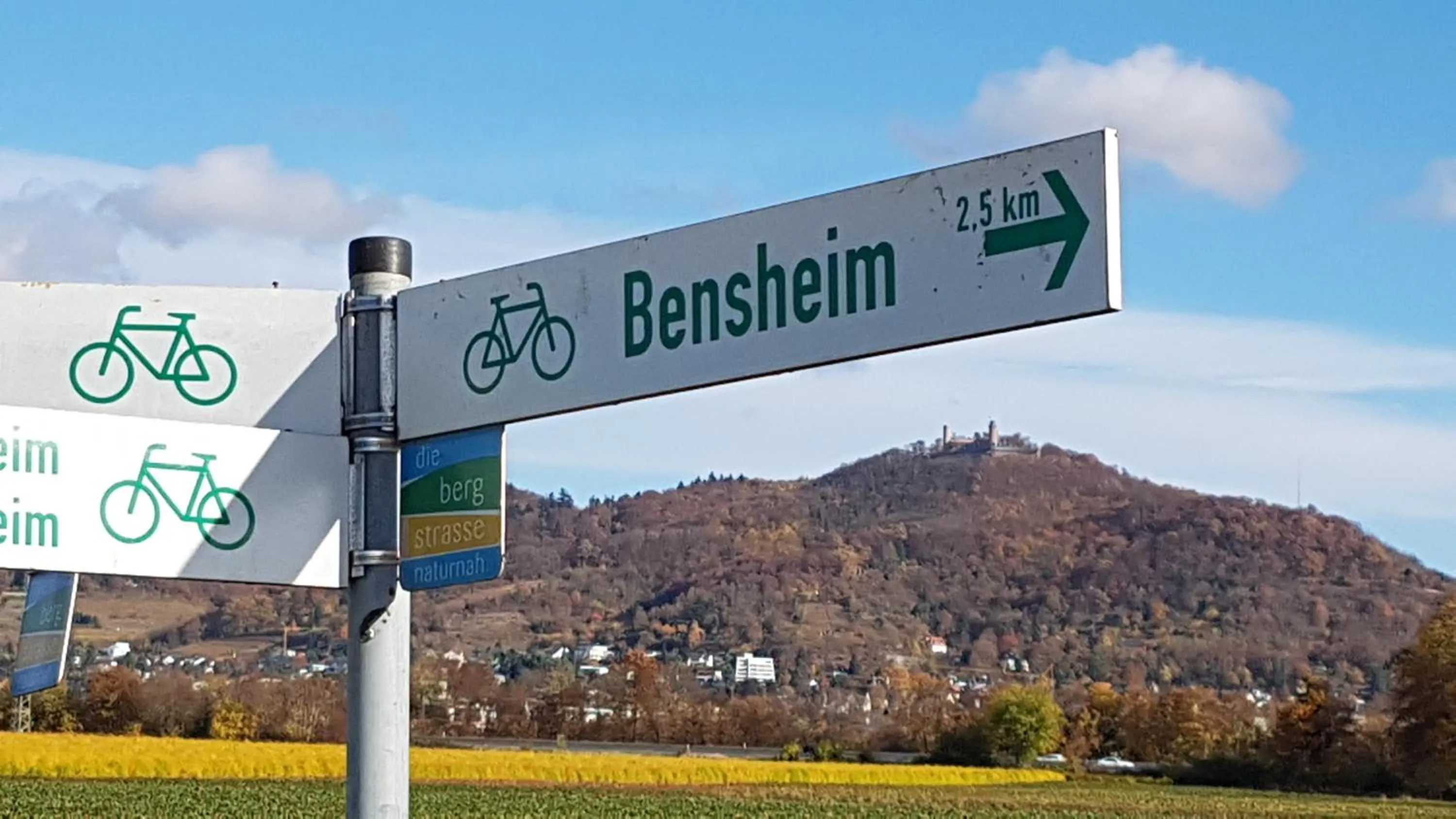 Cycling in Design-Apartments by Ulrike Horster