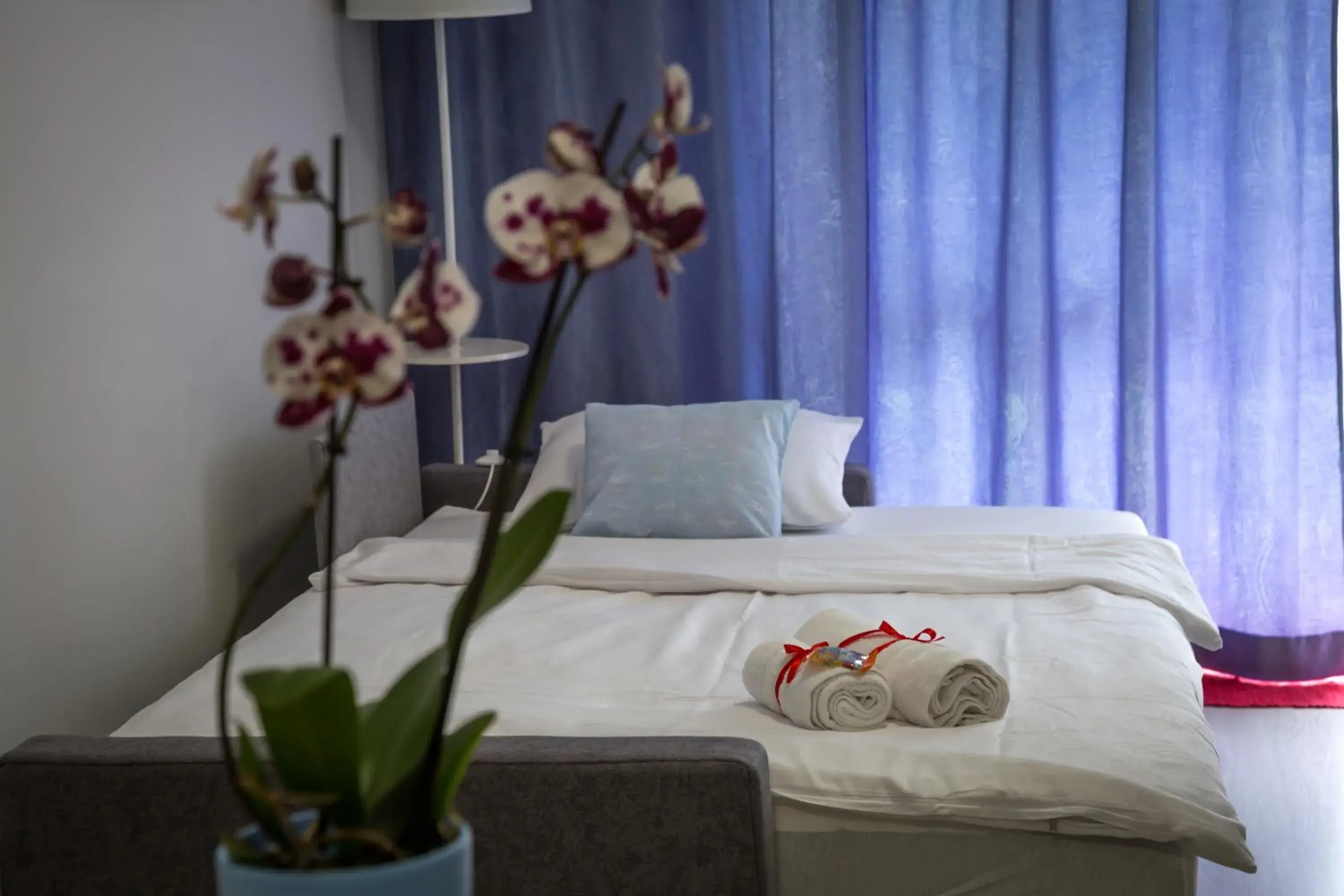 Apartment in Dream Apartment Apartment in Dream Apartment