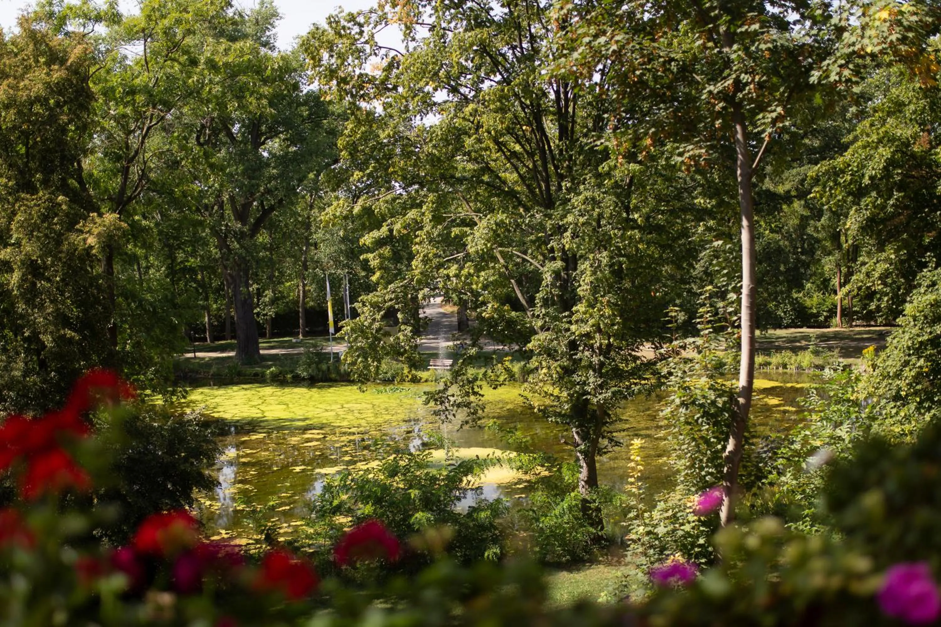 Restaurant/places to eat in Schlosshotel Villa Westerberge