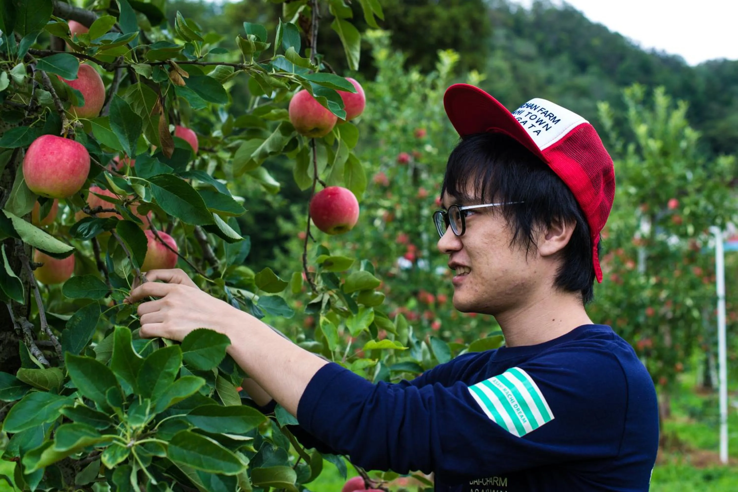 Daichan Farm Guest House