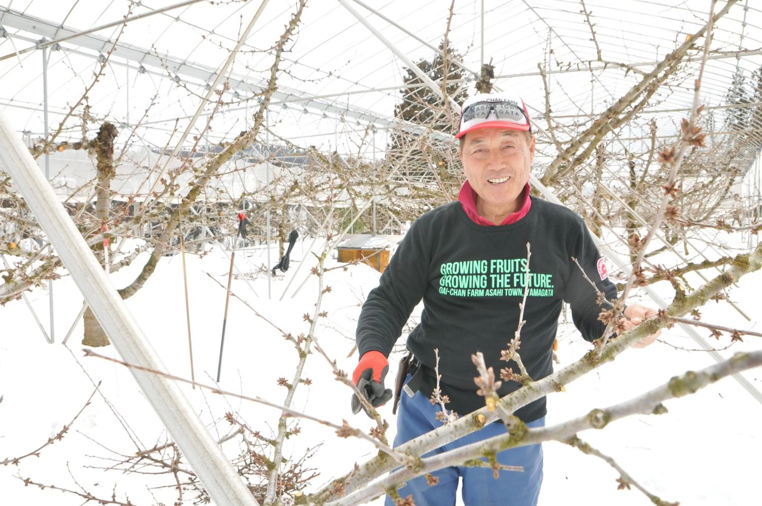 Family in Daichan Farm Guest House