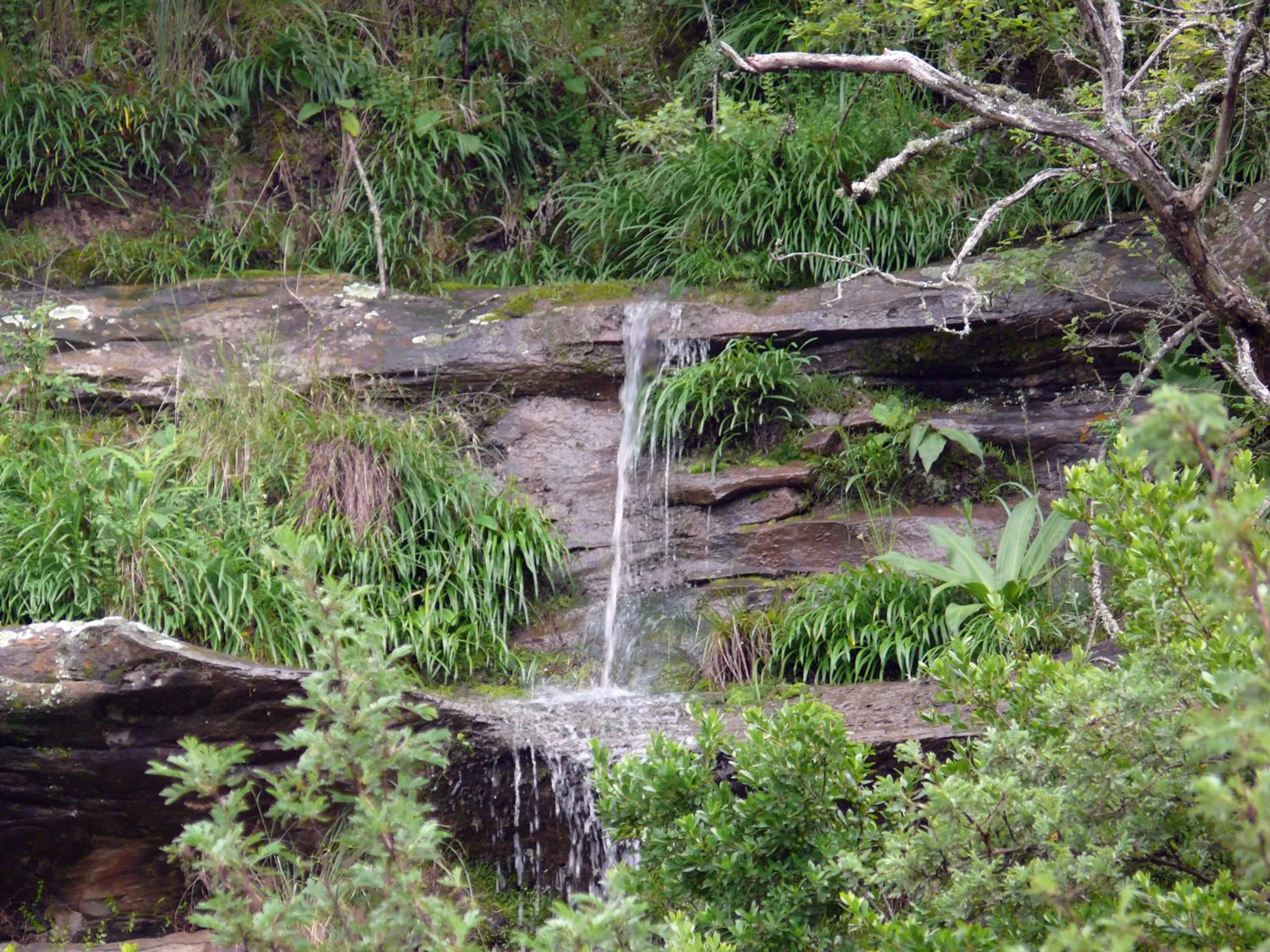 Other in Crags Cottage