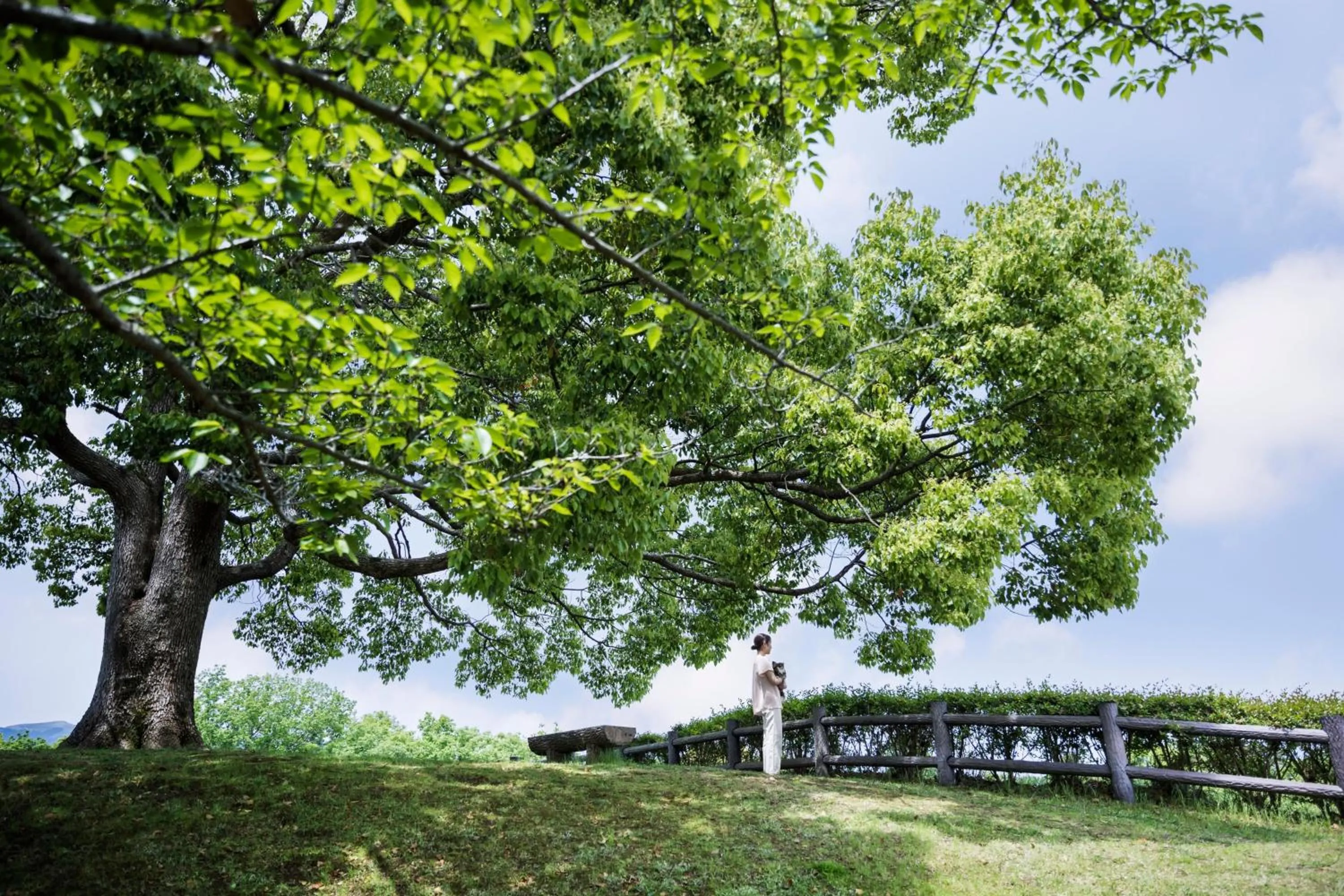 Other in Izu Marriott Hotel Shuzenji