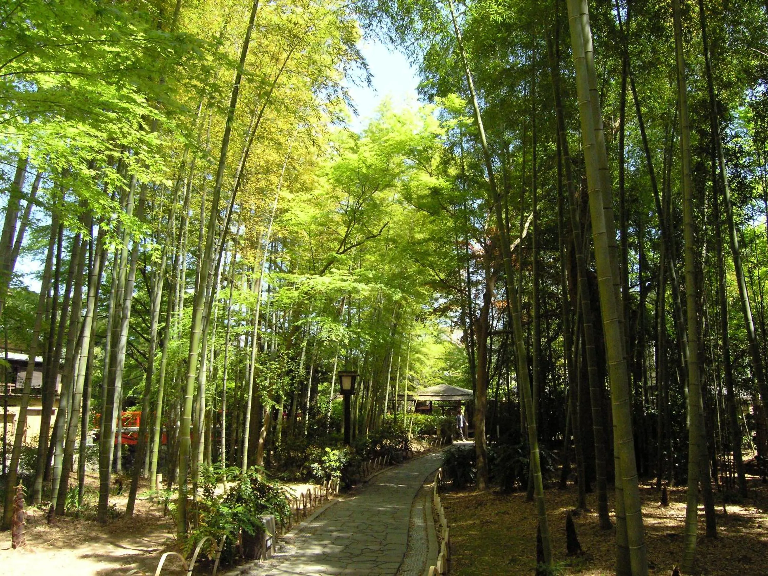 Nearby landmark in Izu Marriott Hotel Shuzenji
