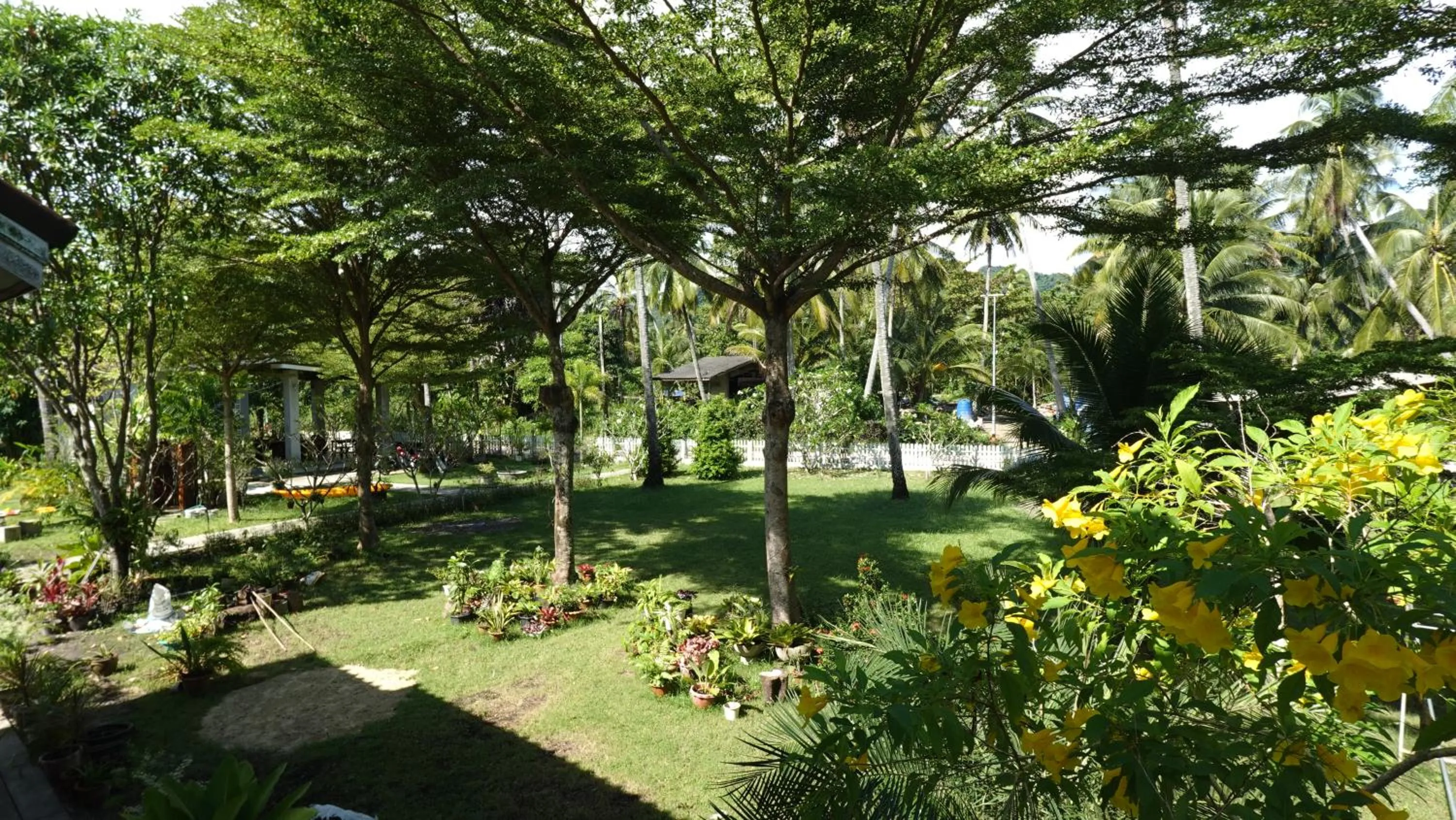 Garden view in Mook Ing Lay