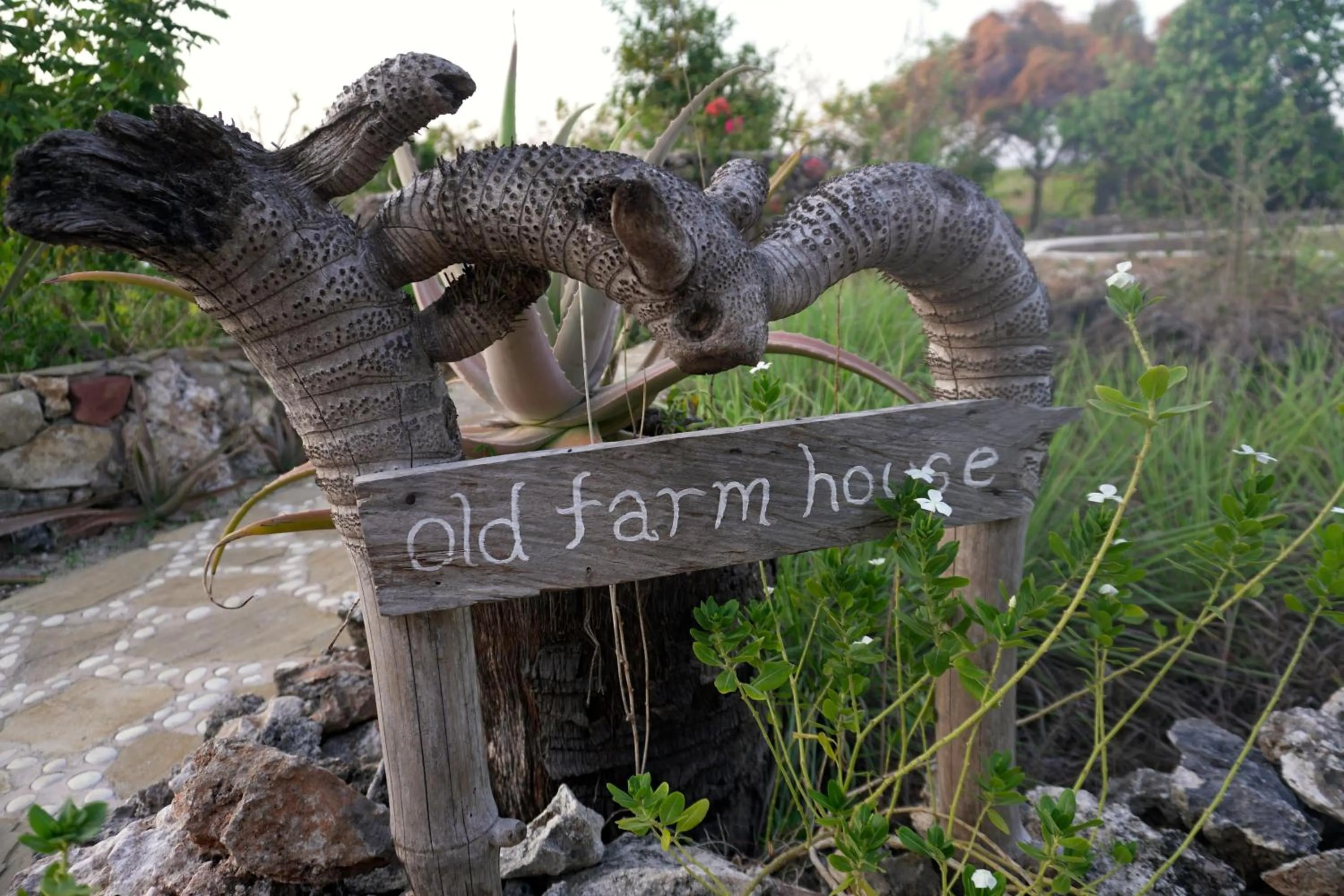 Spring in Utopia Rote Lodge