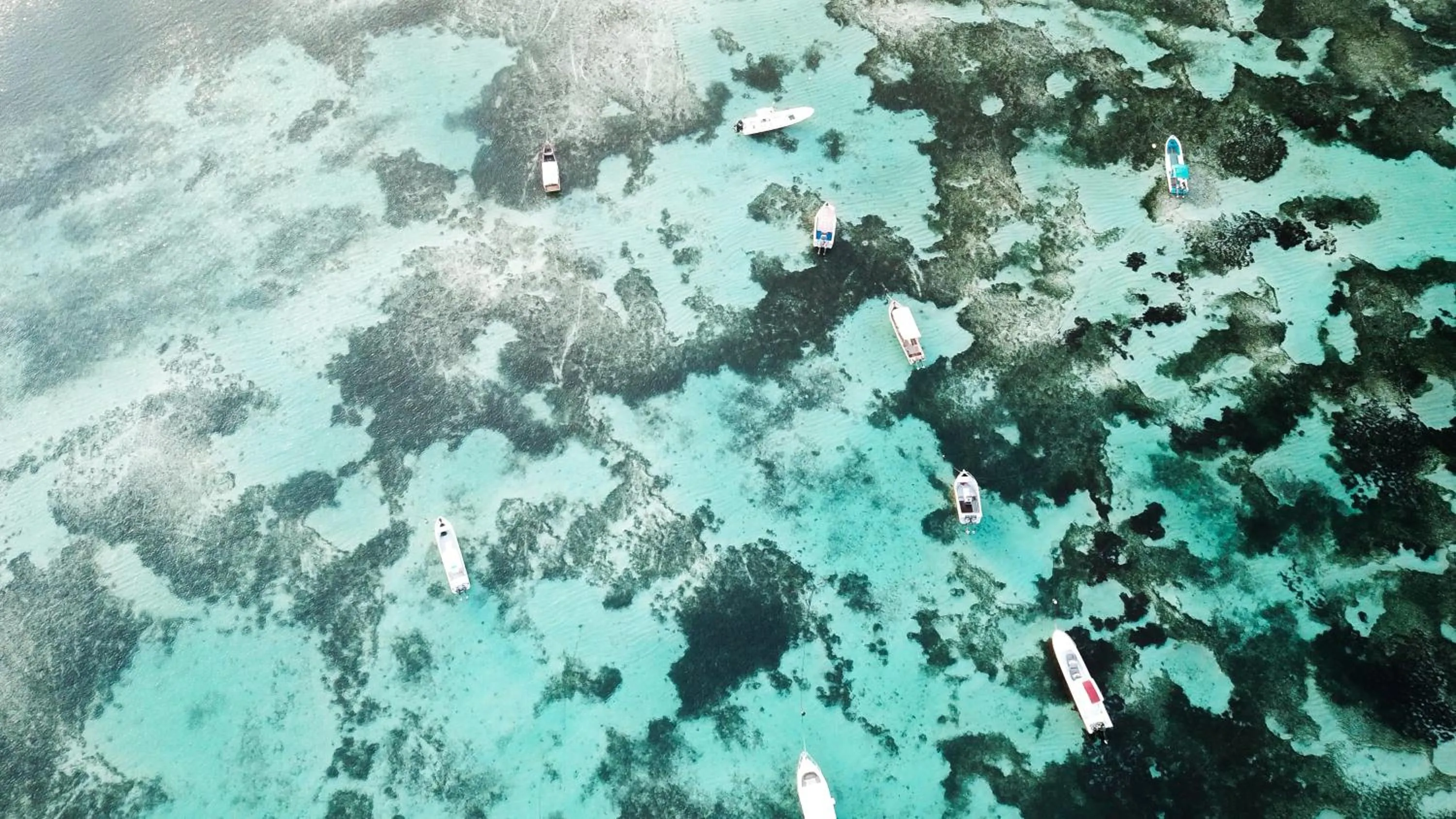 Off site in Utopia Rote Lodge