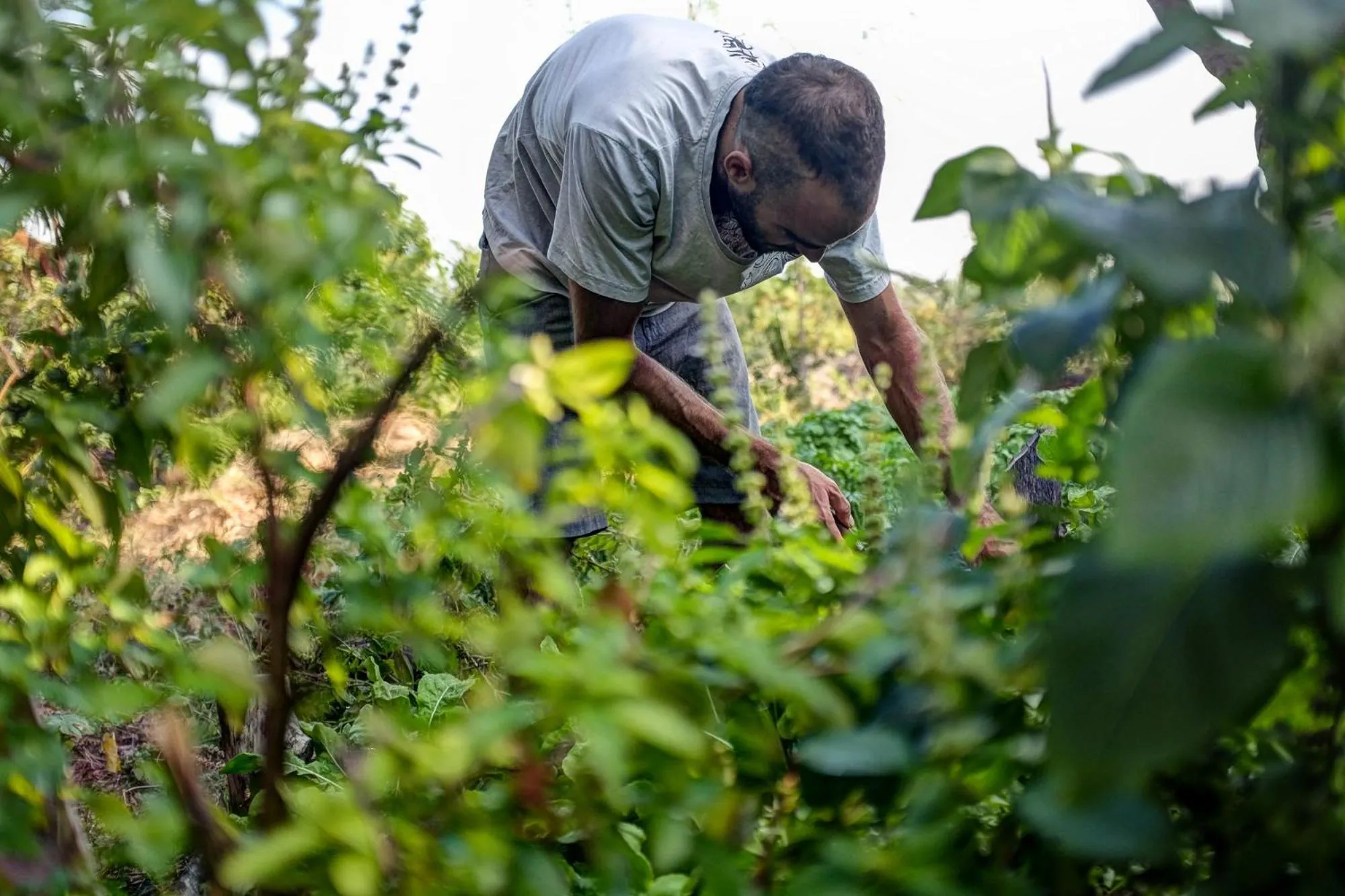 Natural landscape in Utopia Rote Lodge