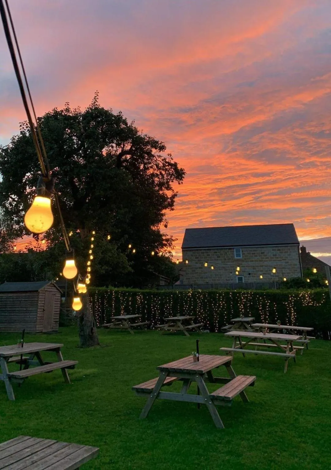 Garden in The Castle Inn