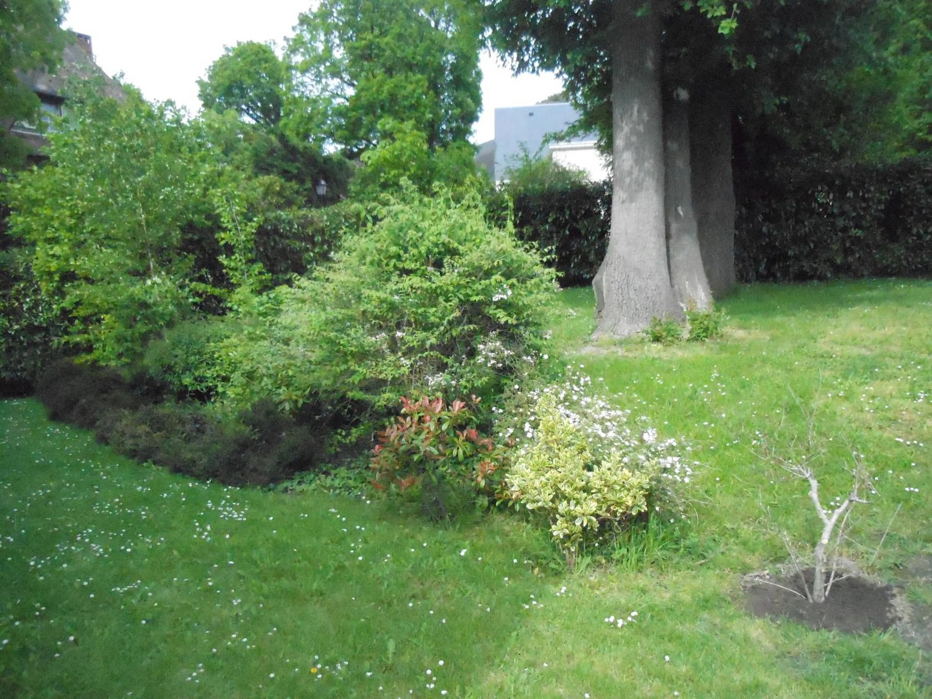 Garden view in La Clémencerie Chambre d'hôtes