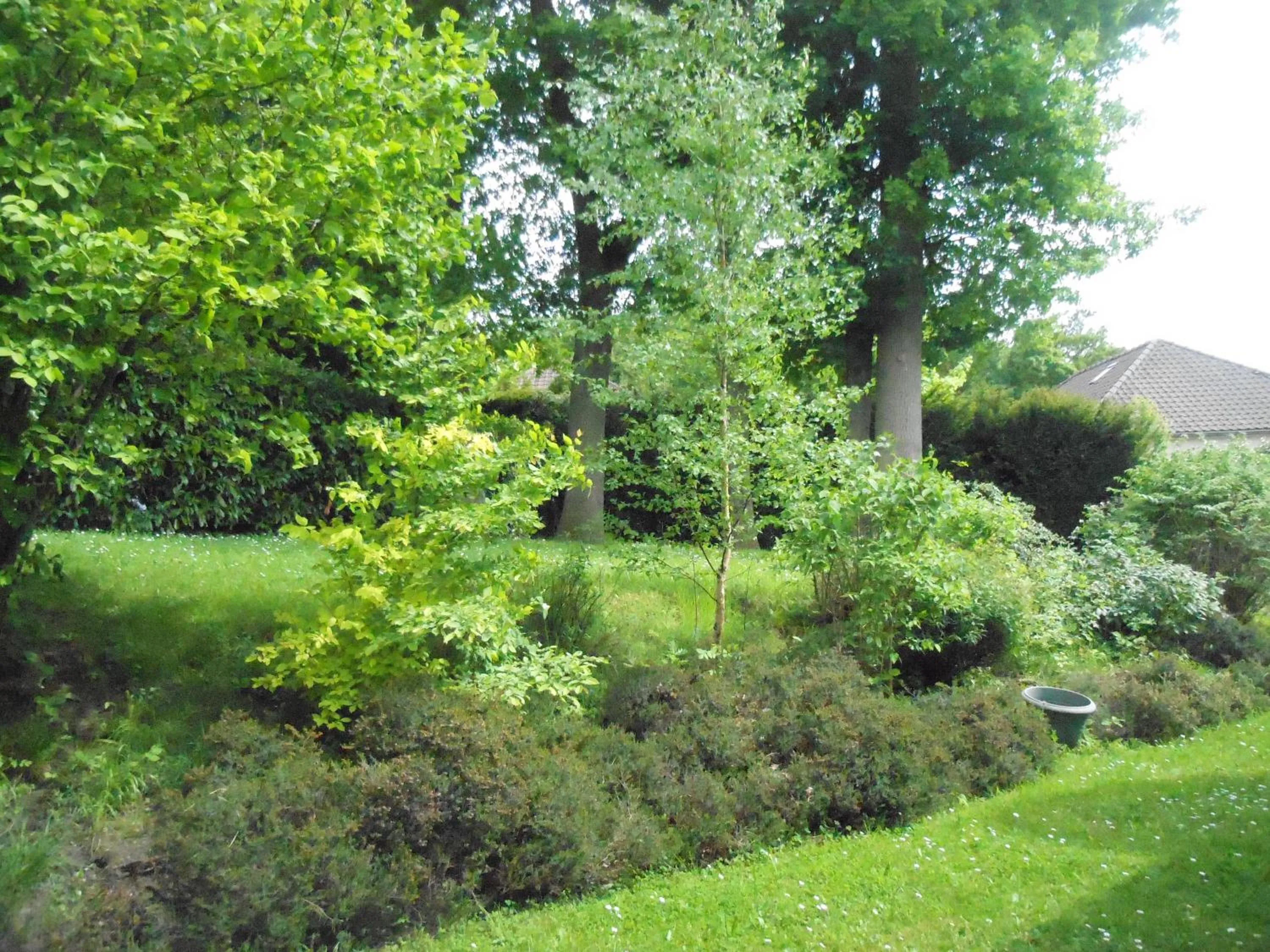 Garden view in La Clémencerie Chambre d'hôtes