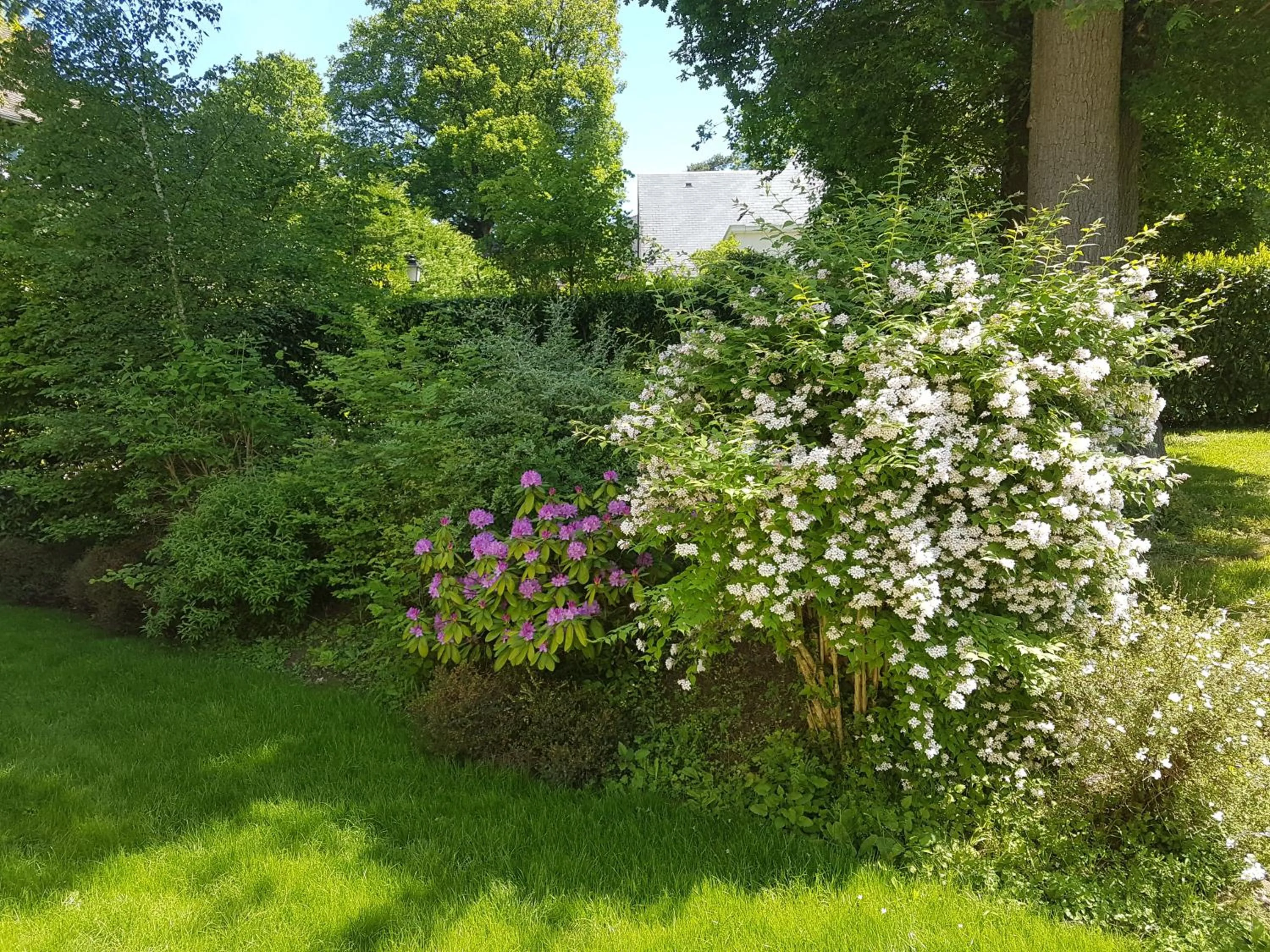 Garden in La Clémencerie Chambre d'hôtes