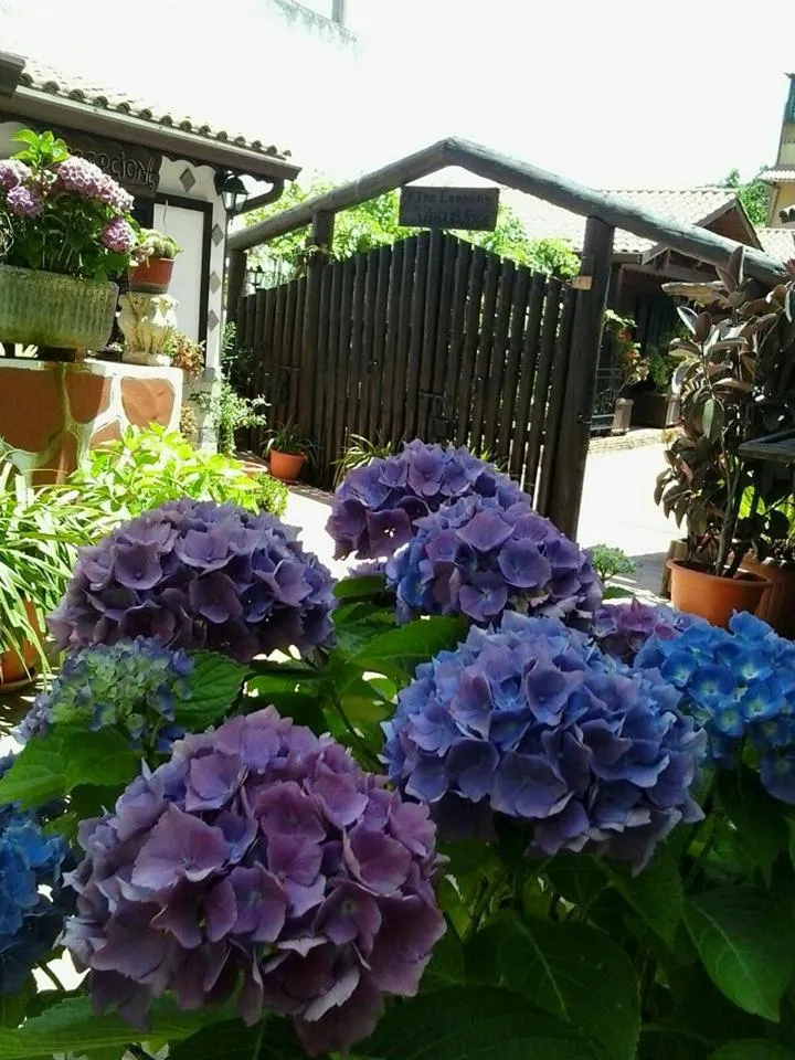 Cabañas Valle Verde