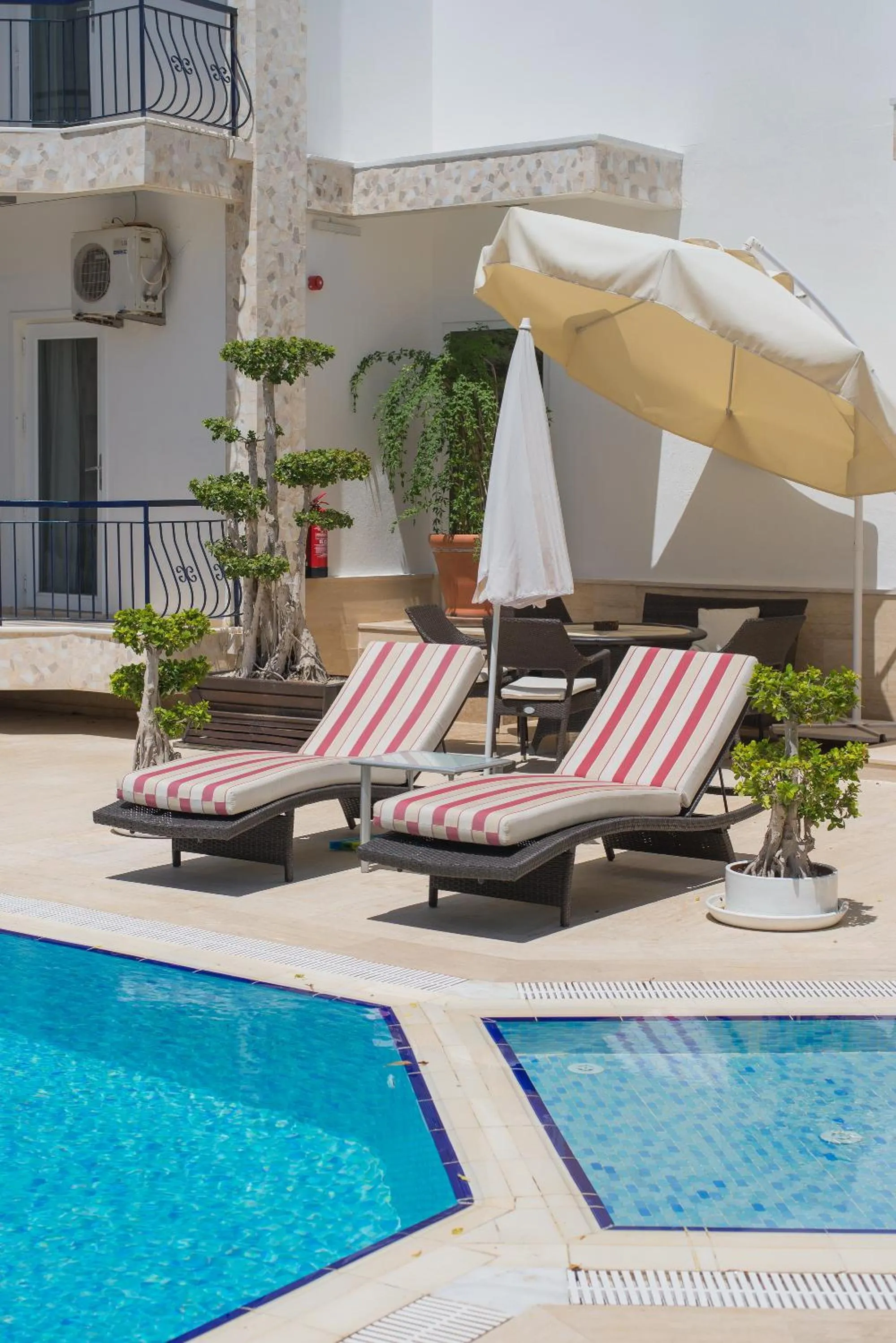 Swimming pool in Sofia Residence