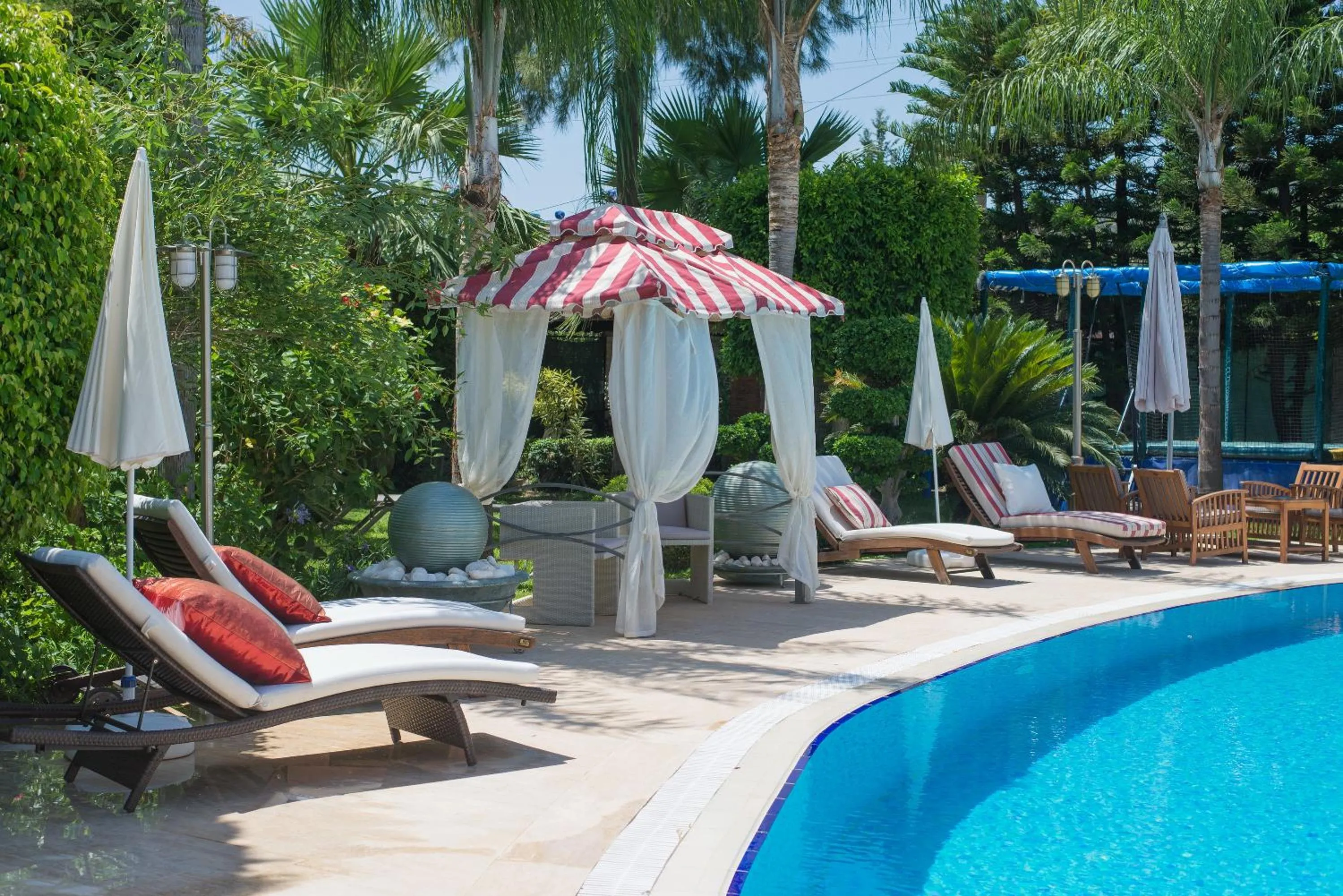 Garden in Sofia Residence