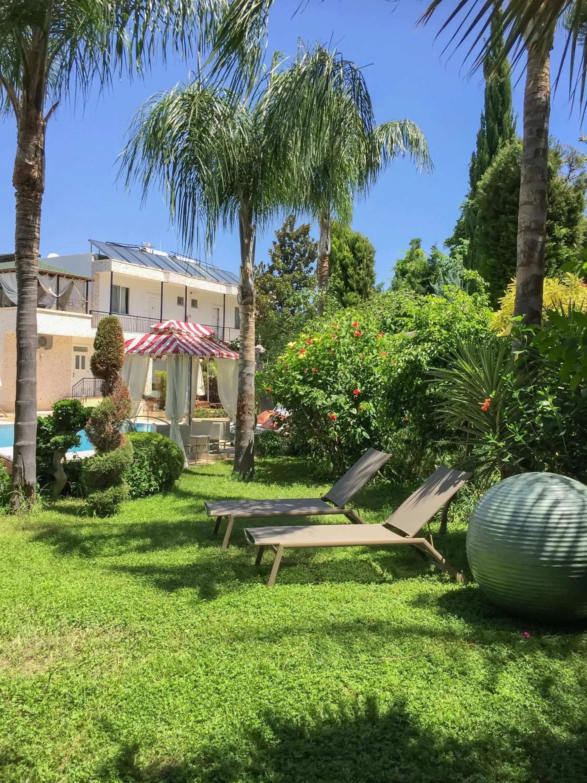 Natural landscape in Sofia Residence