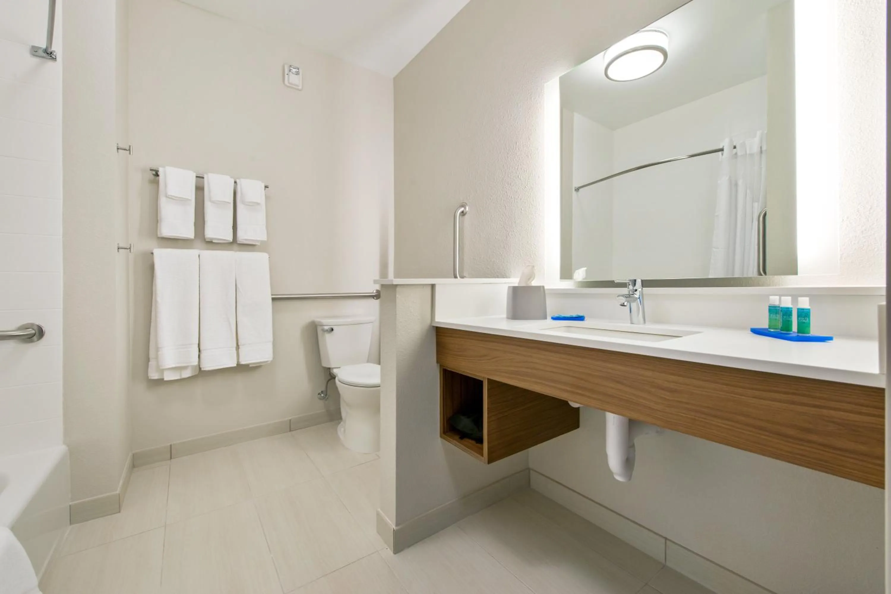 Bathroom in Holiday Inn Express & Suites - Carrollton West by IHG