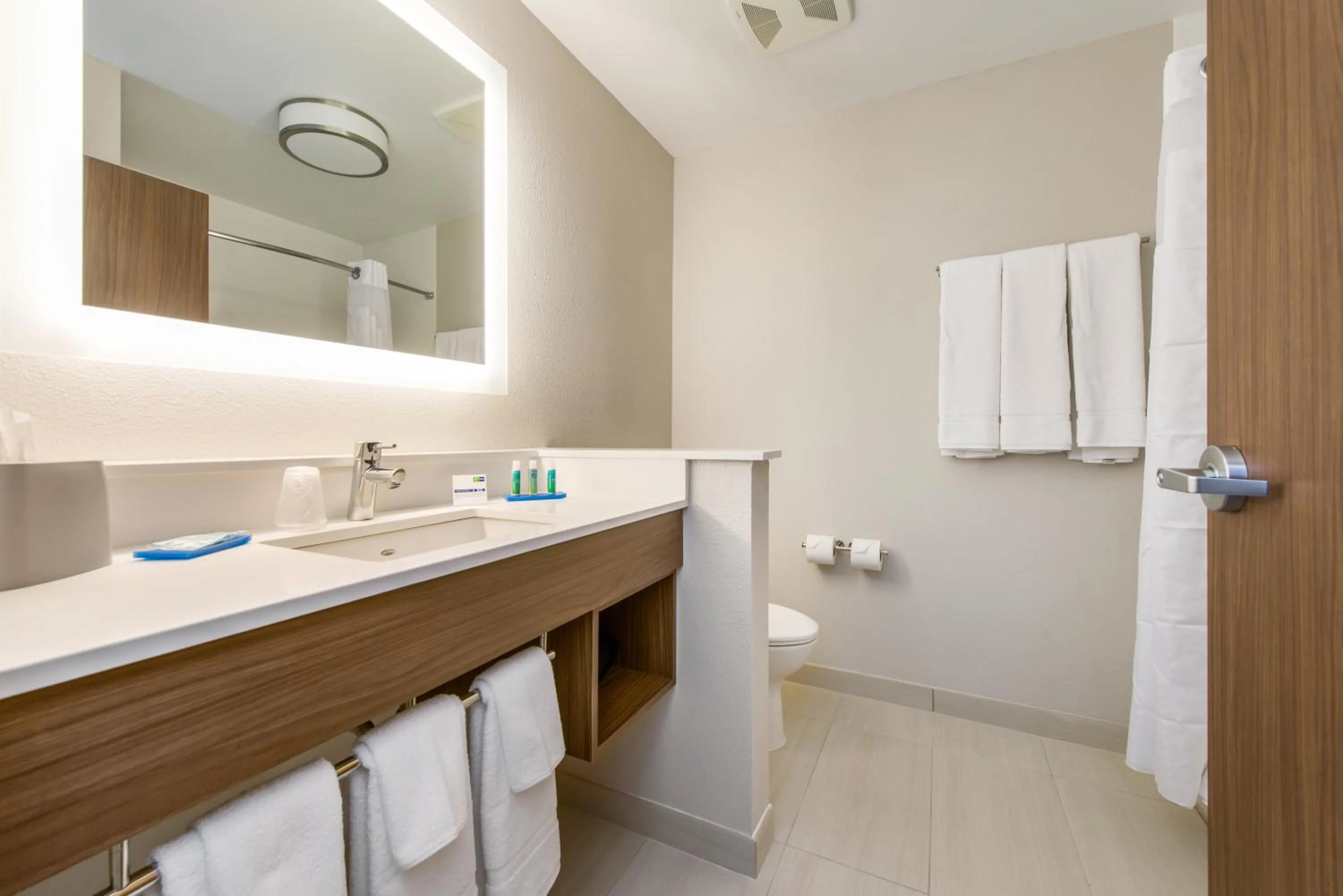 Bathroom in Holiday Inn Express & Suites - Carrollton West by IHG