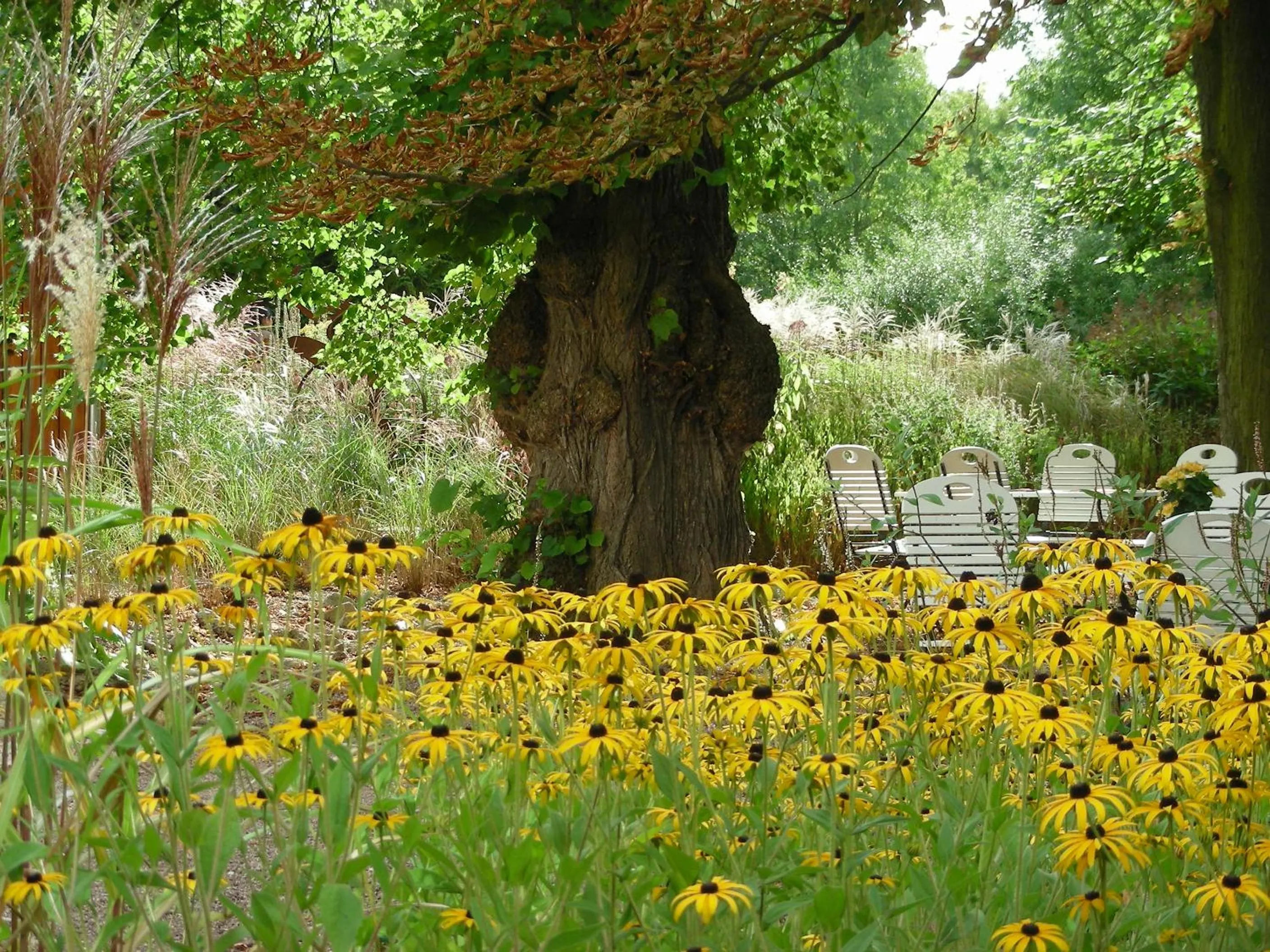 Garden in Bio Hotel Kipperquelle