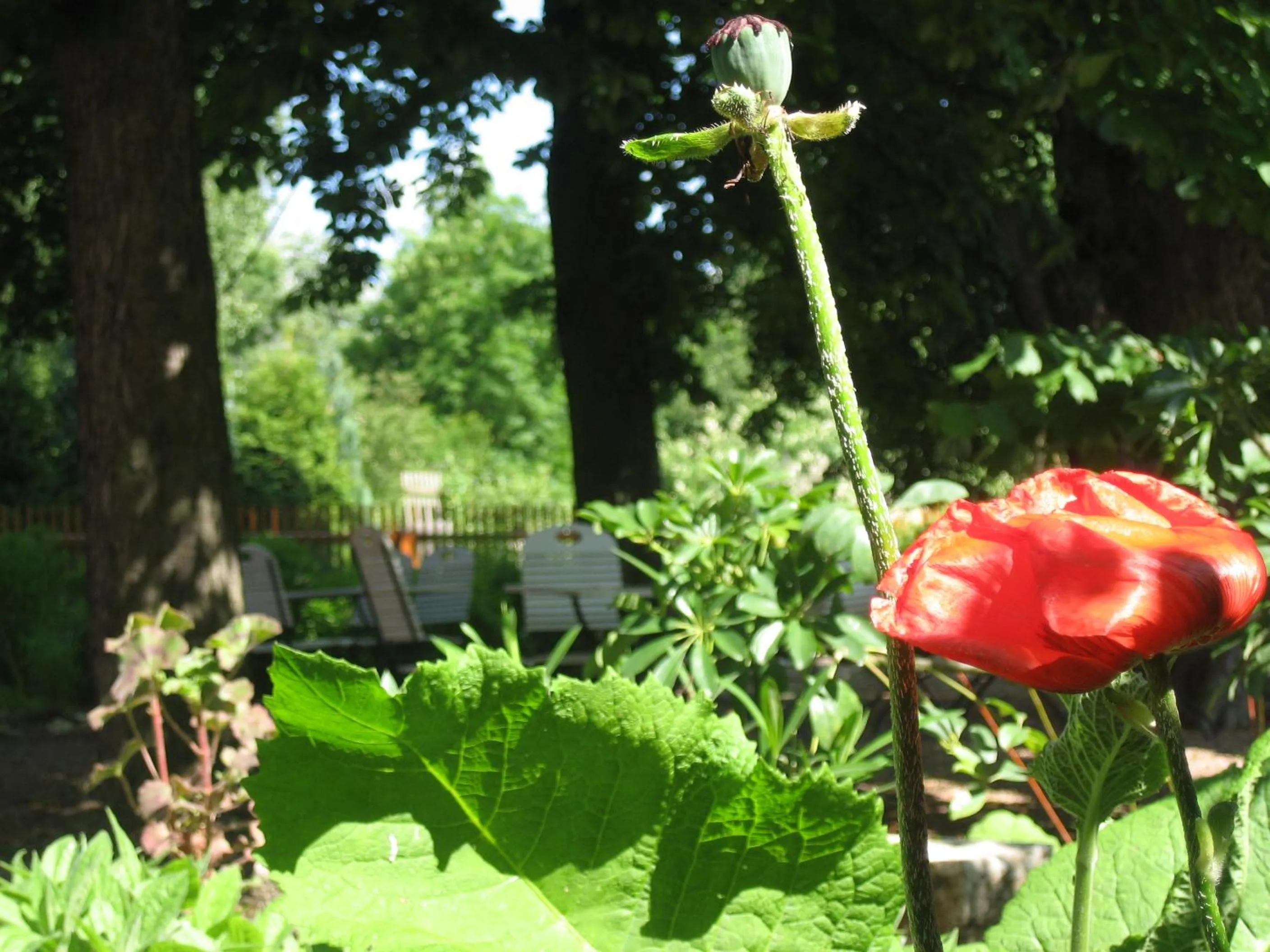 Garden view in Bio Hotel Kipperquelle