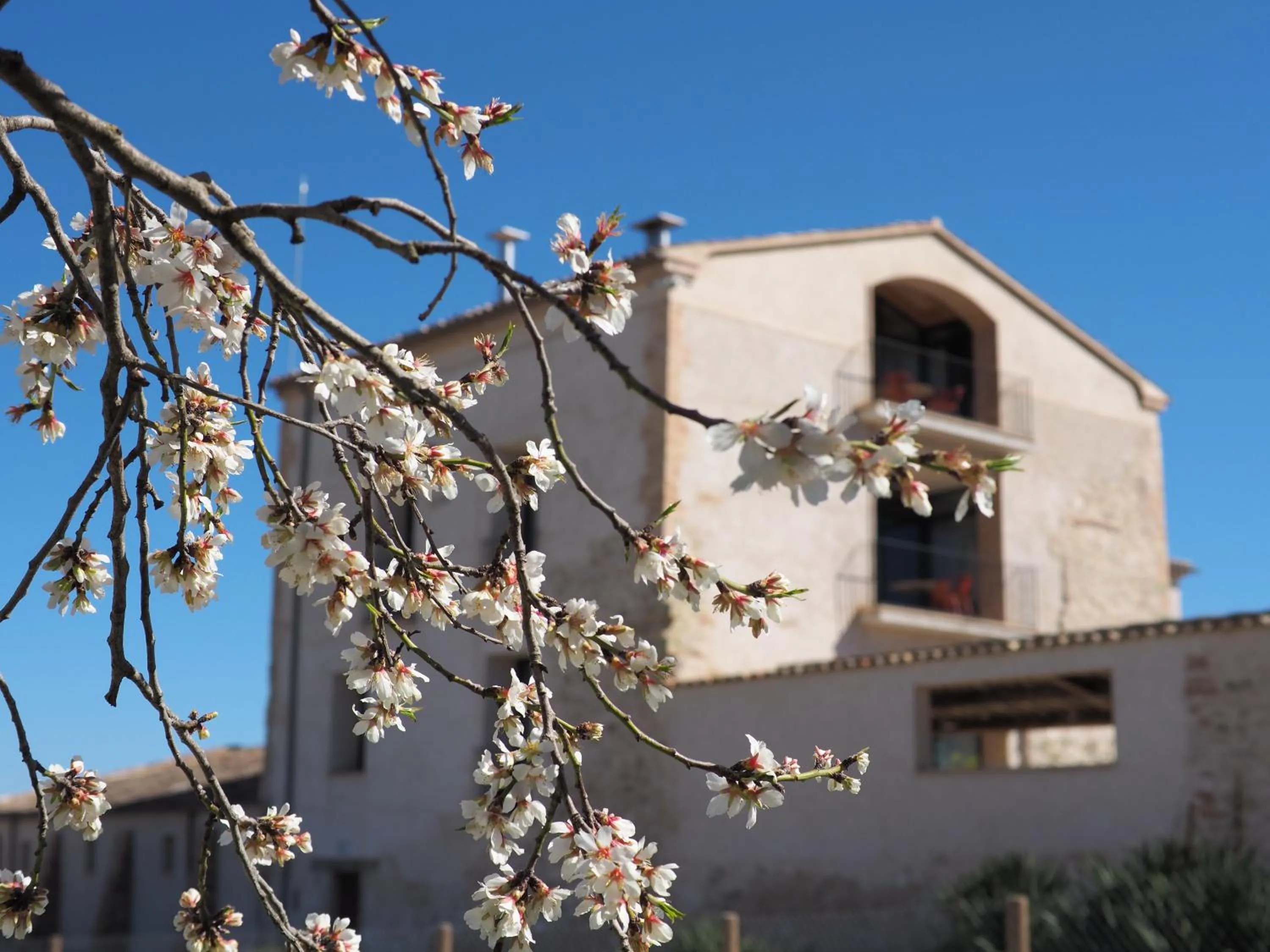 Facade/entrance in Can Alemany