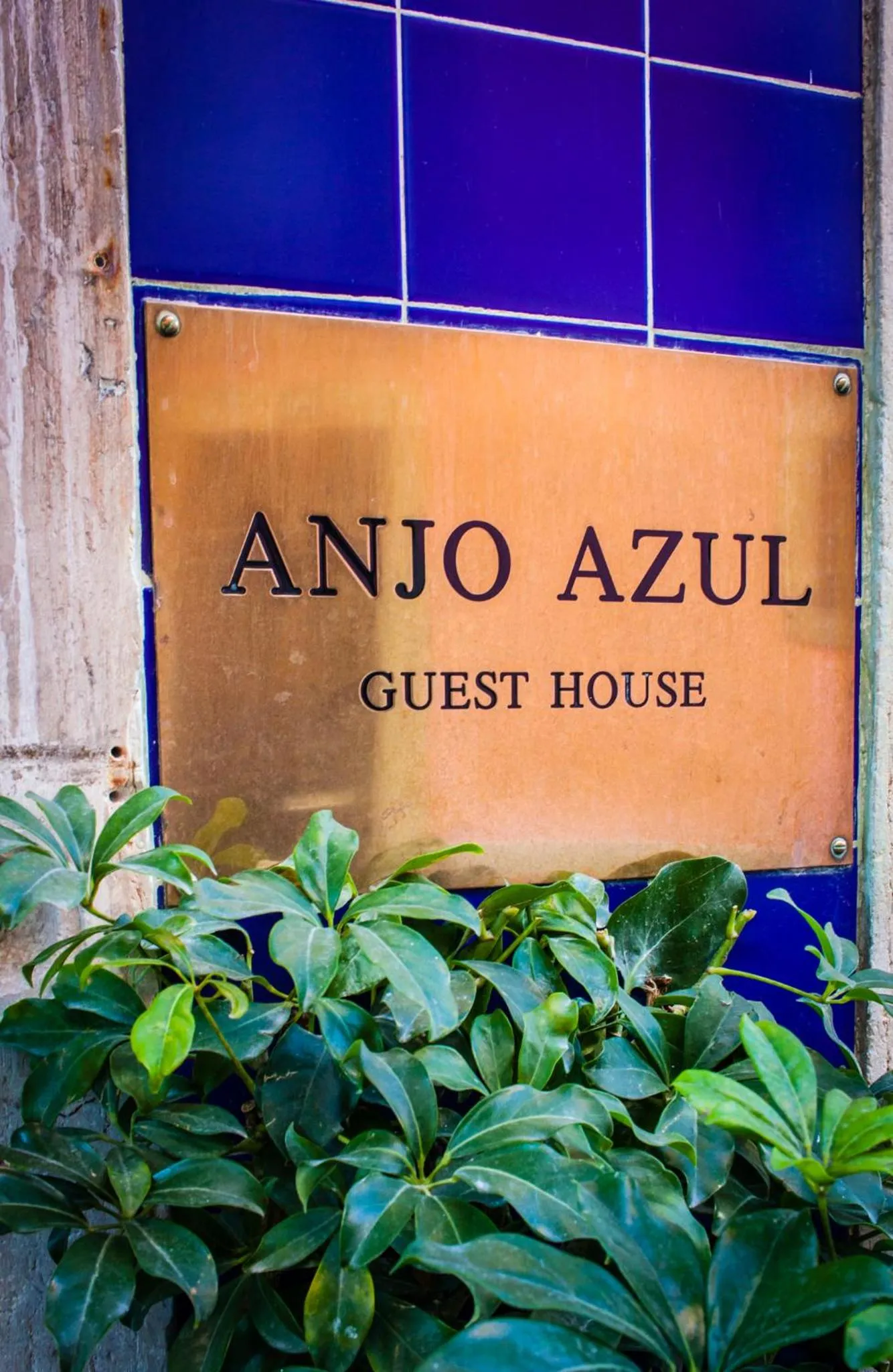 Property logo or sign in Anjo Azul