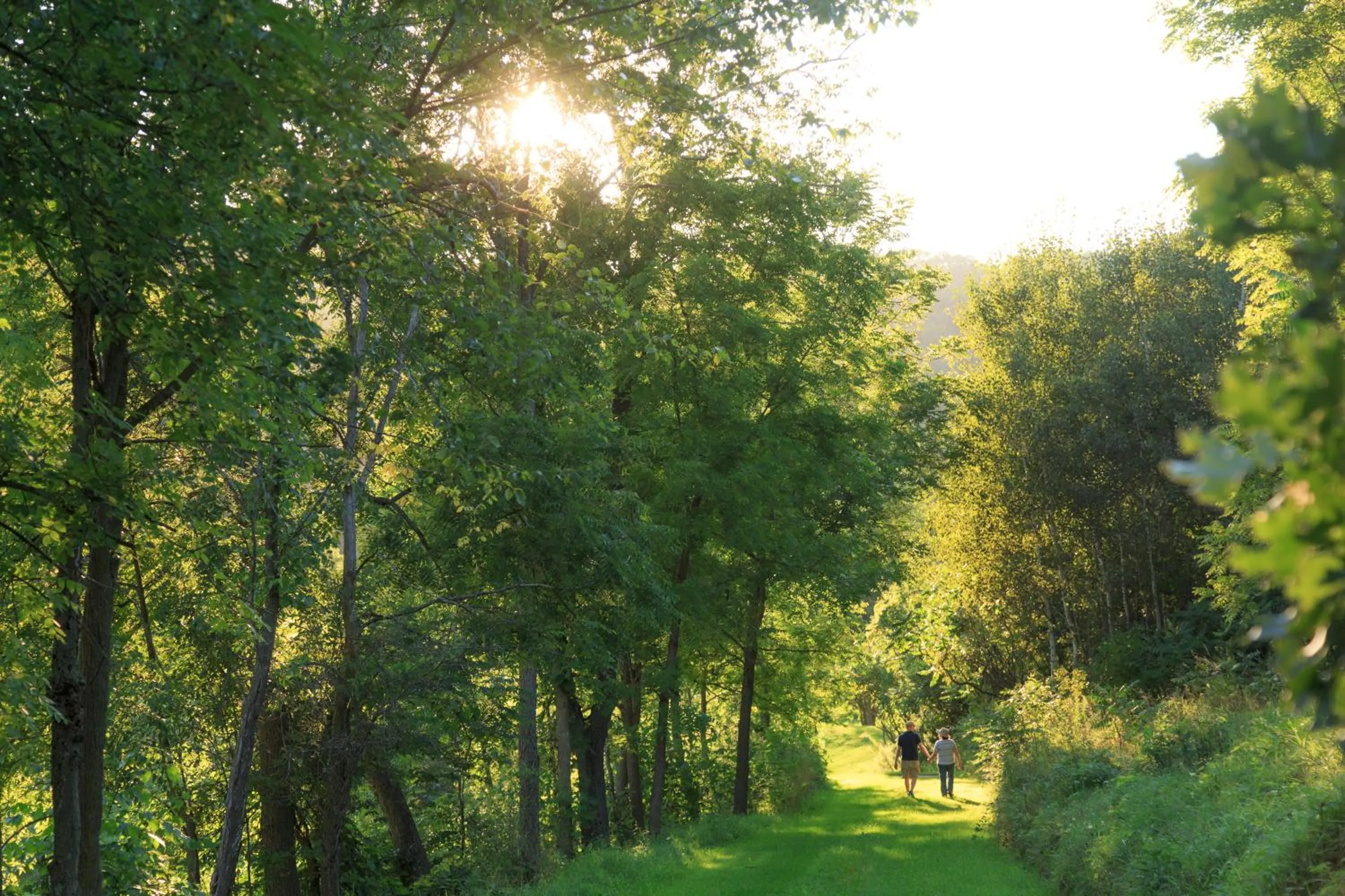 Natural landscape in Justin Trails Resort