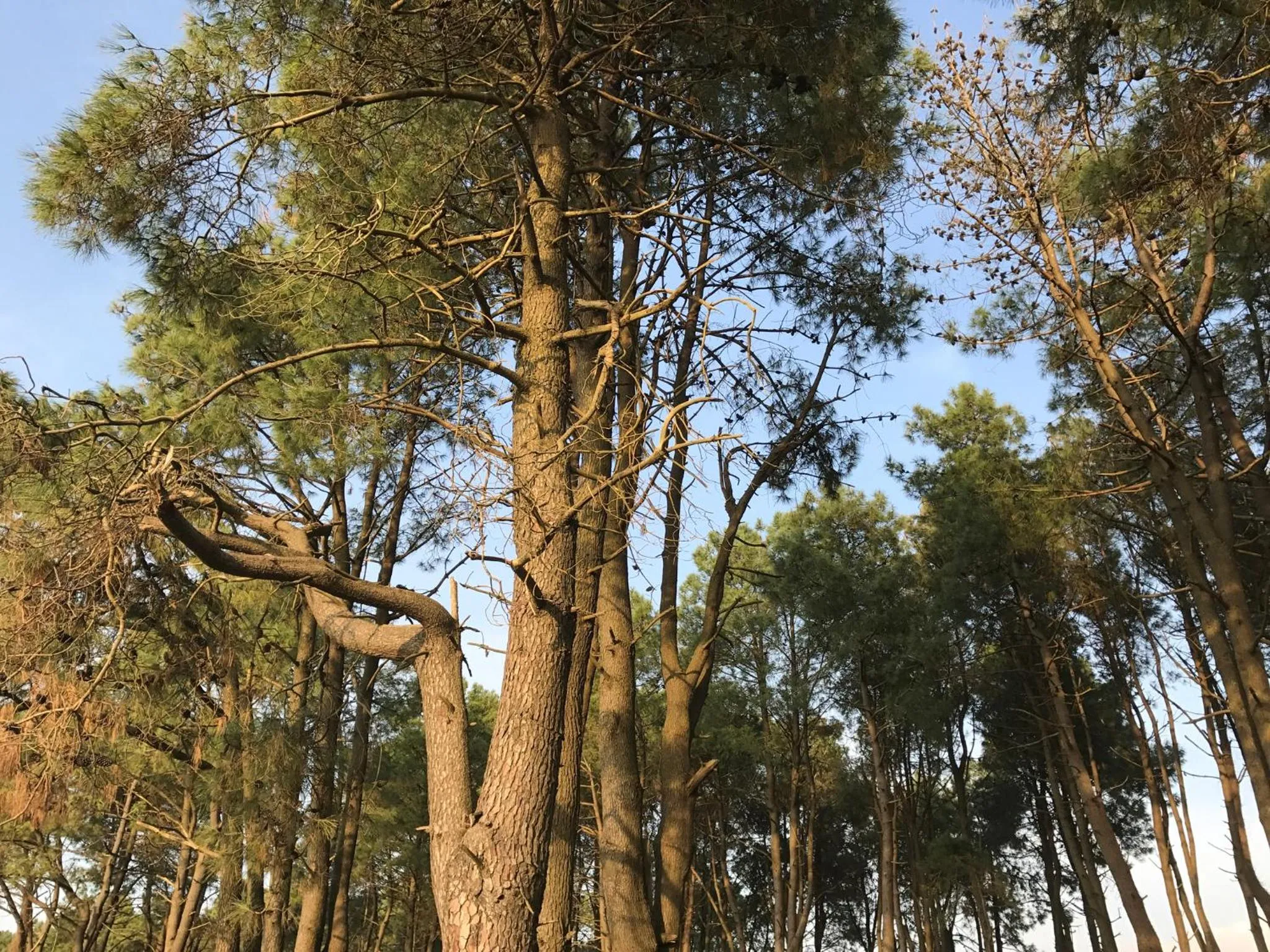 Natural landscape in Simple Pleasures Shekvetili