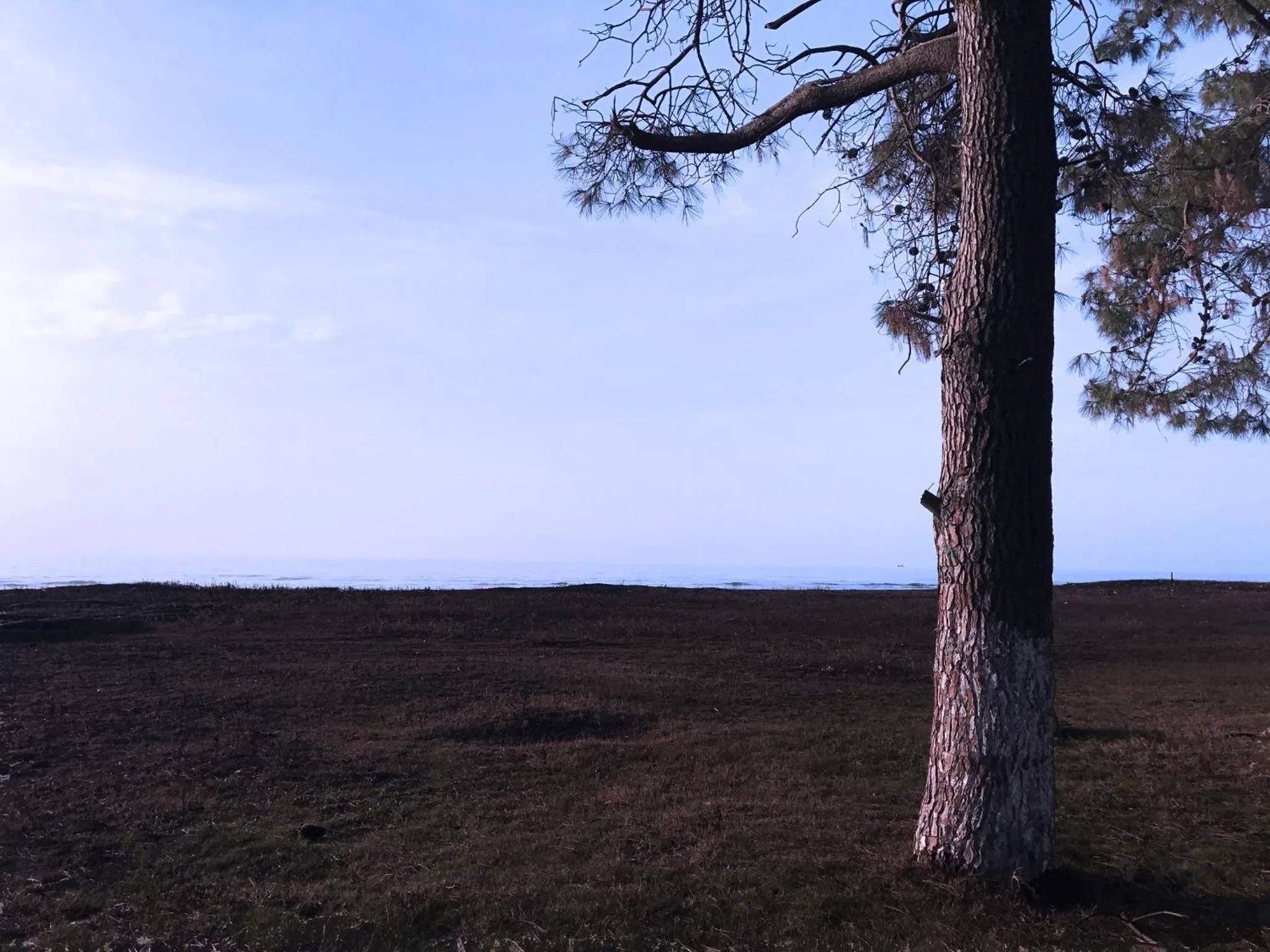 Beach in Simple Pleasures Shekvetili