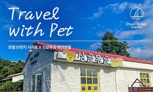 Hotel bridge Seogwipo