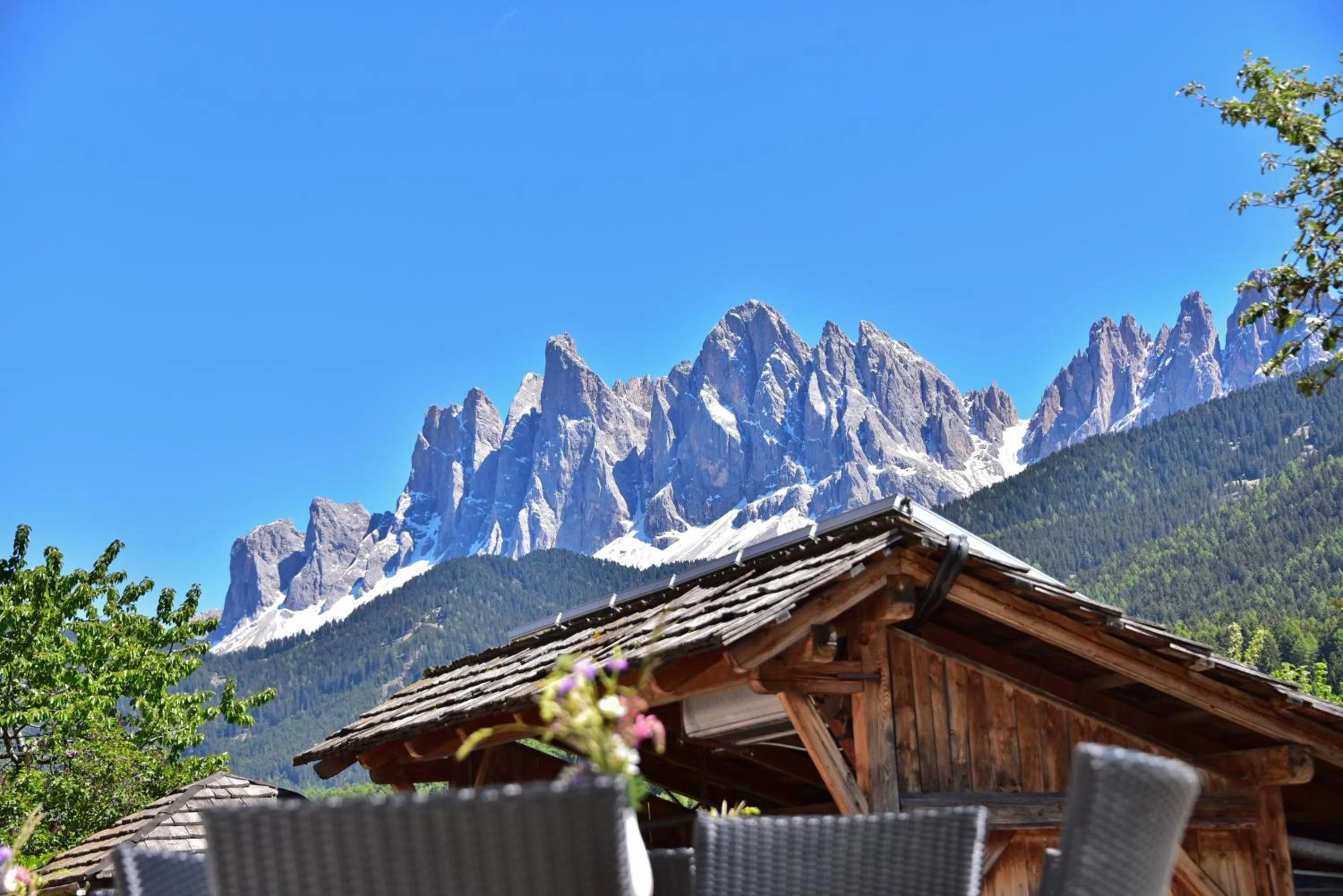 Garden in Hotel Gsoihof