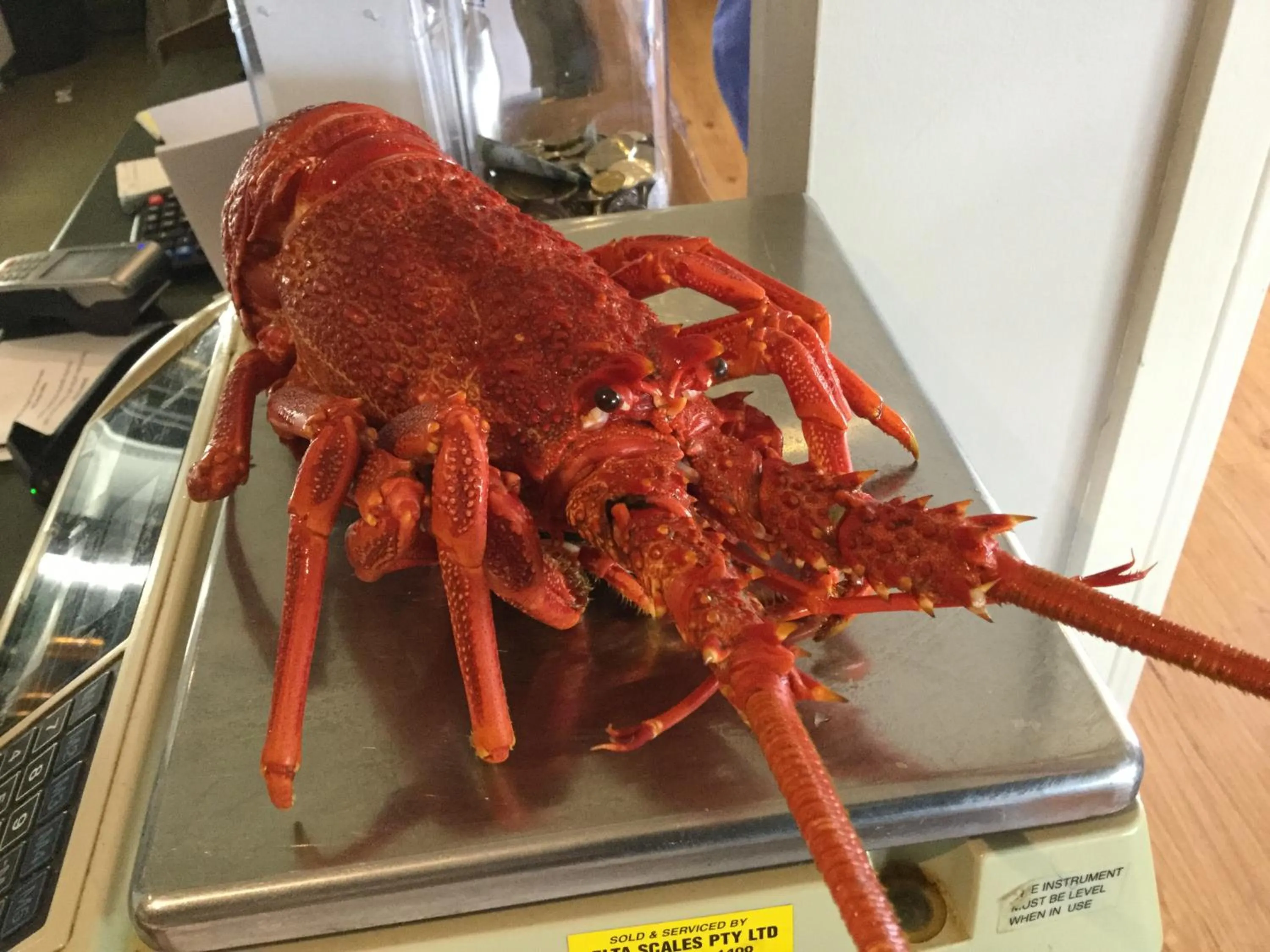 Turtle Cove Exclusive Island Resort