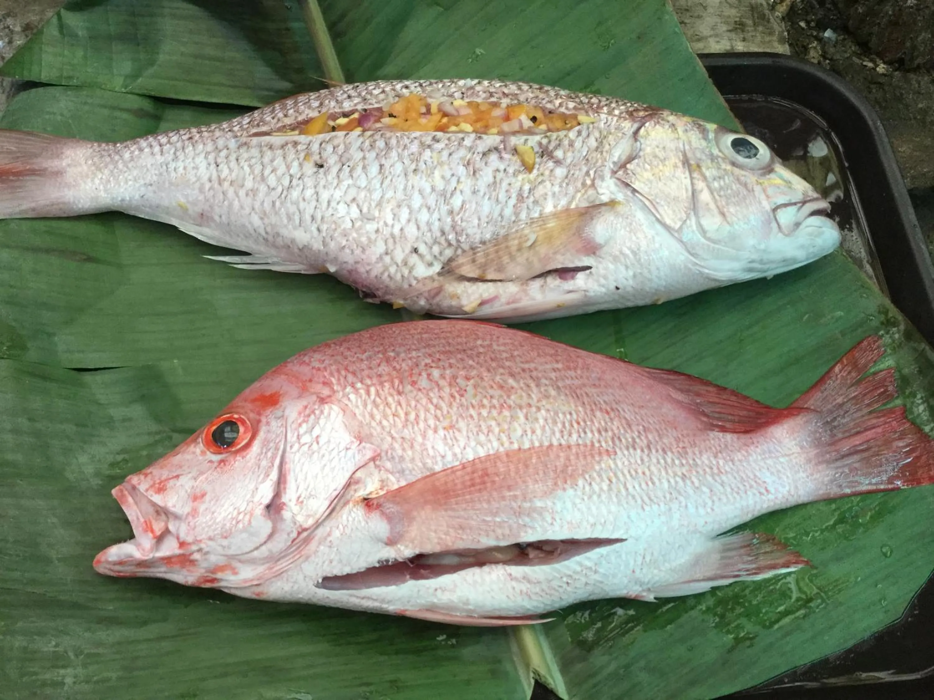 Food close-up in Turtle Cove Exclusive Island Resort