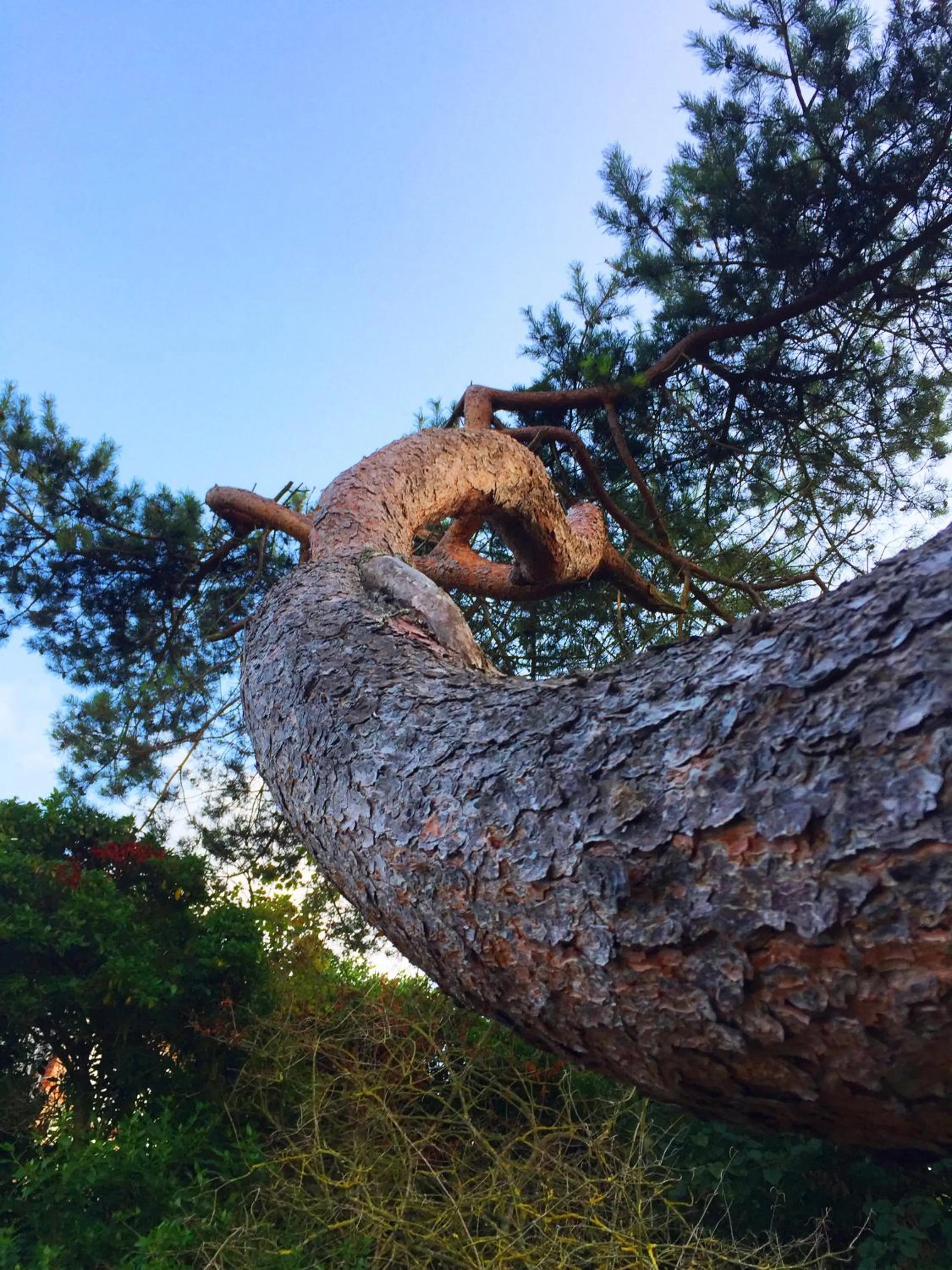 Castel De La Terrasse