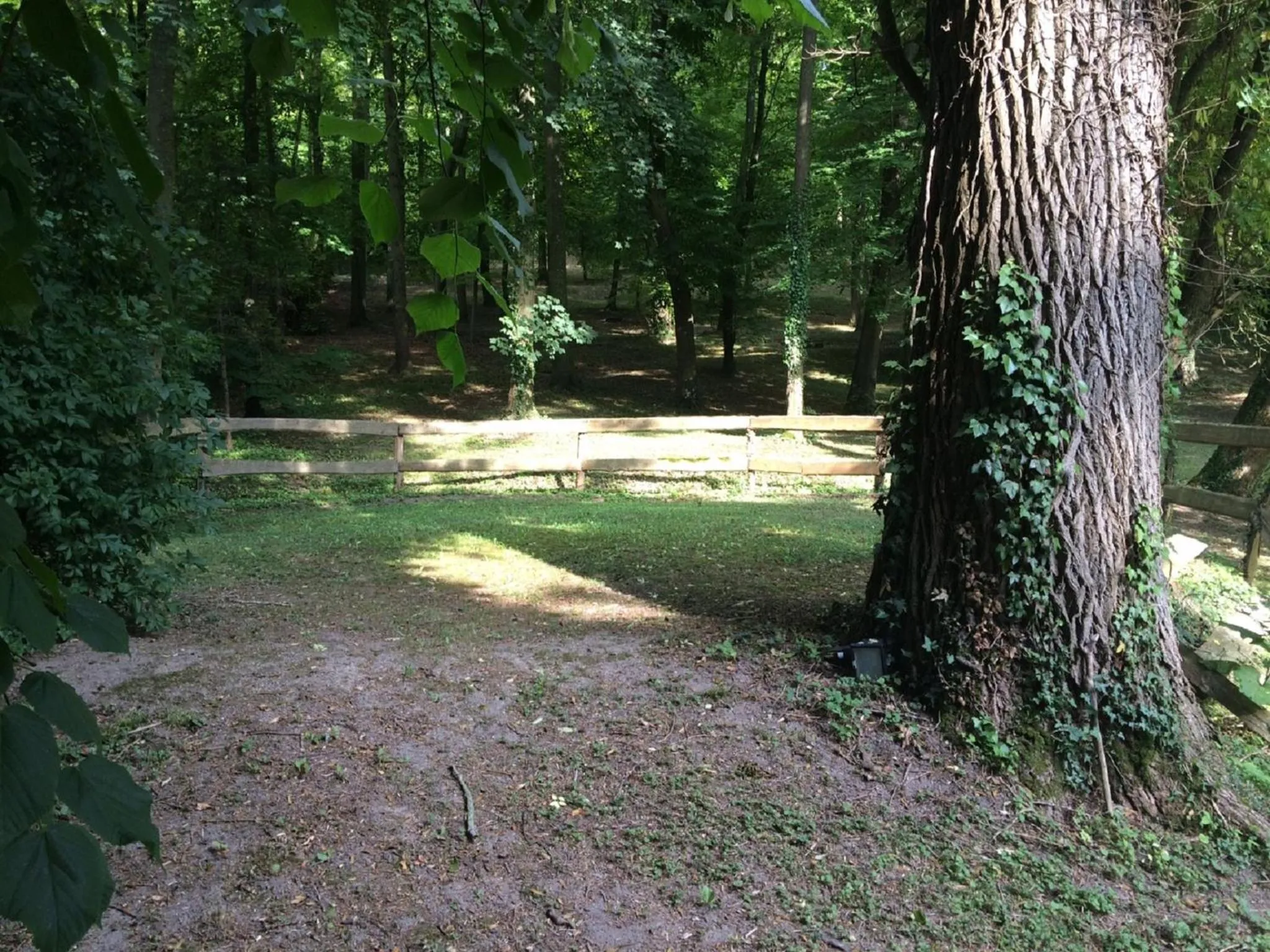 Garden in Le Beauvaisis
