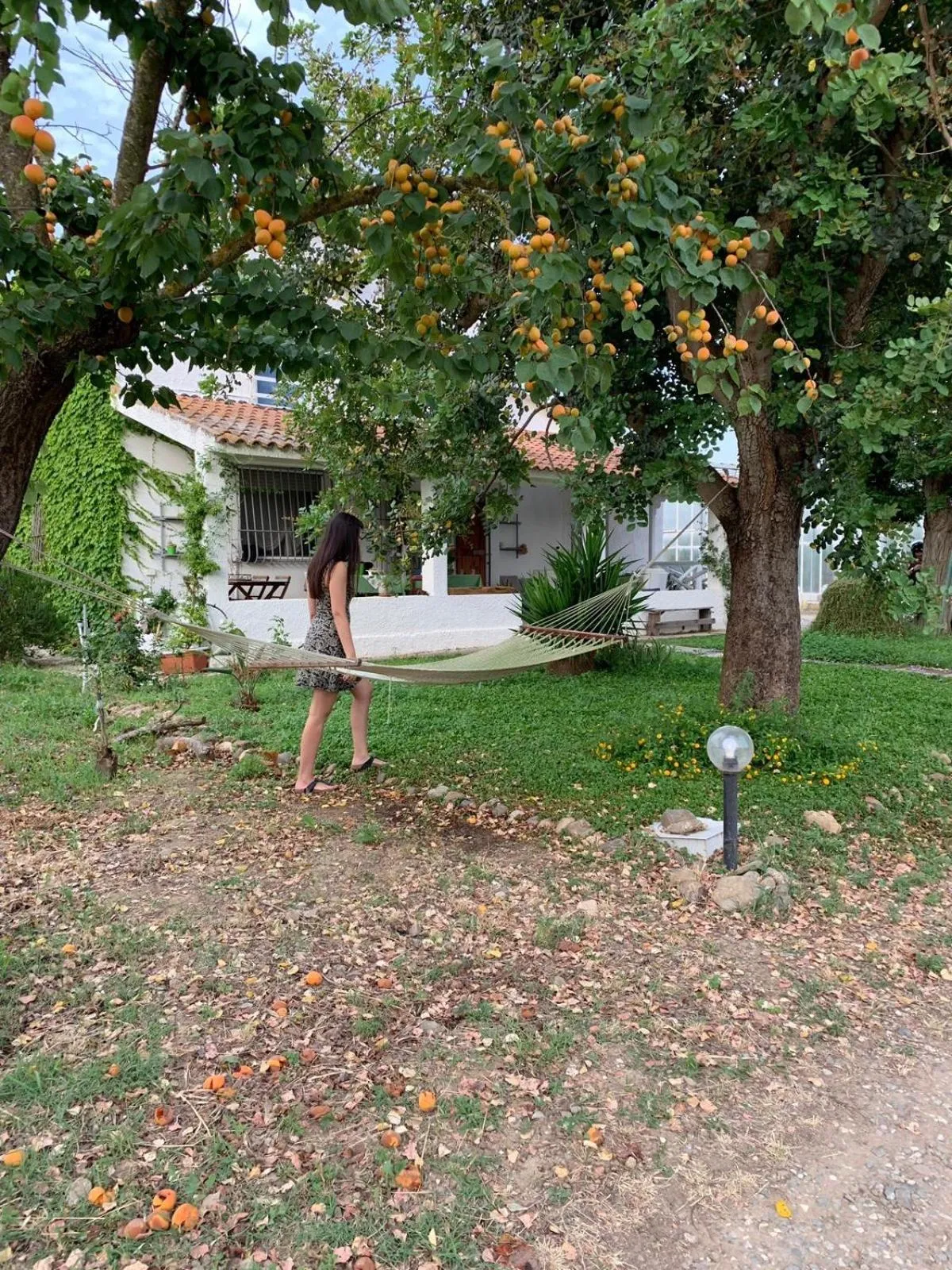 AGRIB&B Il Pomo d'oro