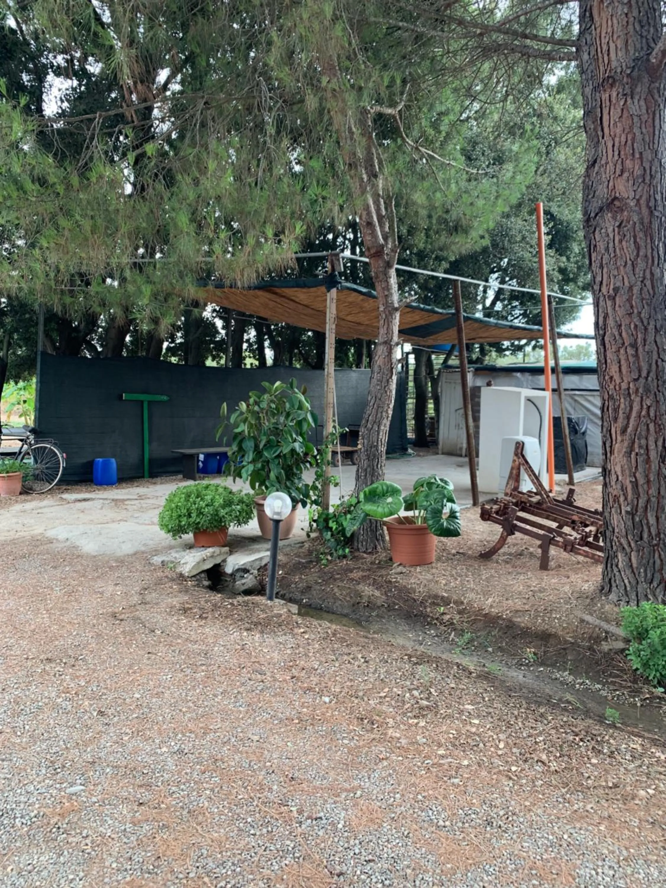 AGRIB&B Il Pomo d'oro