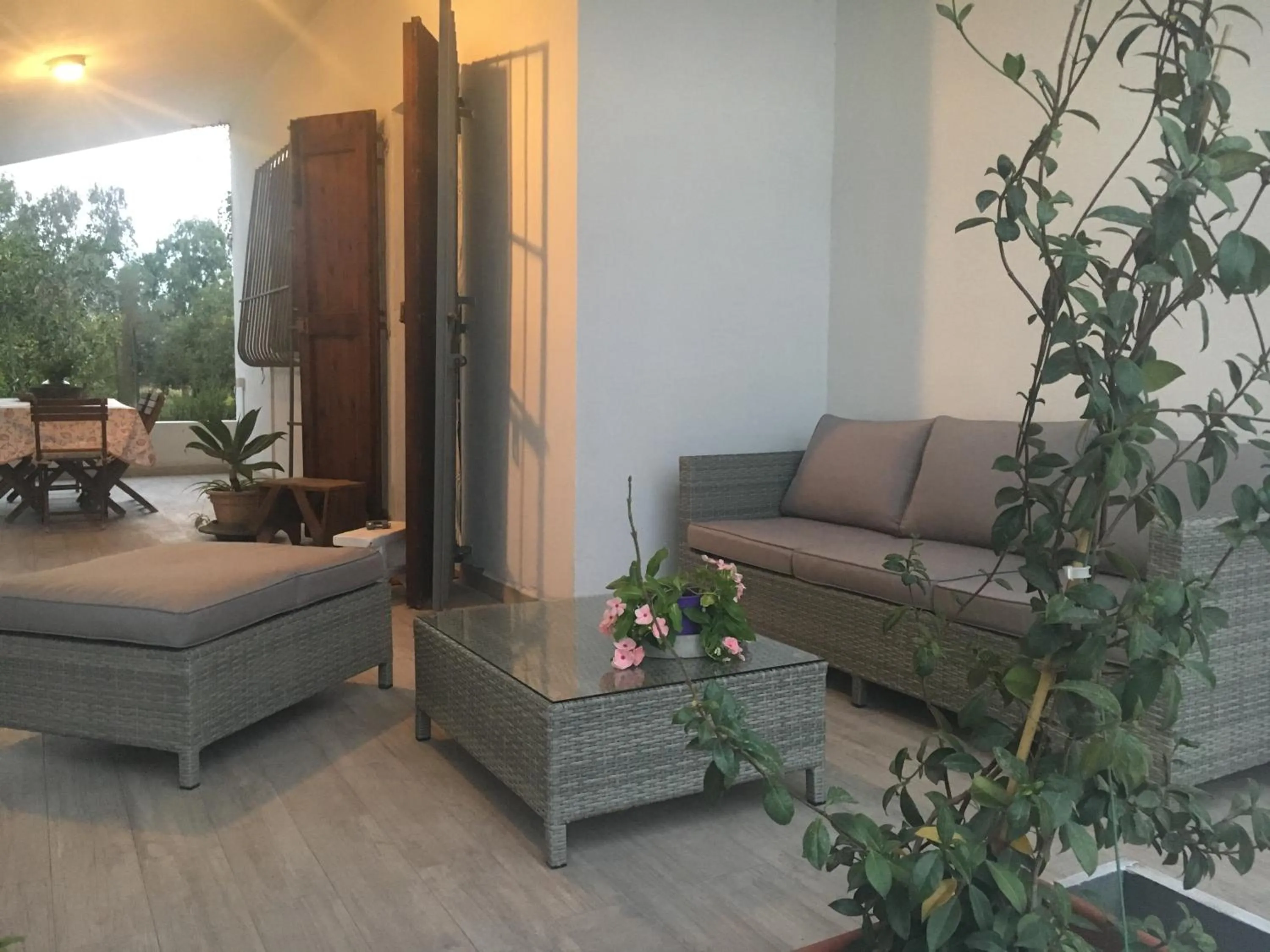 AGRIB&B Il Pomo d'oro