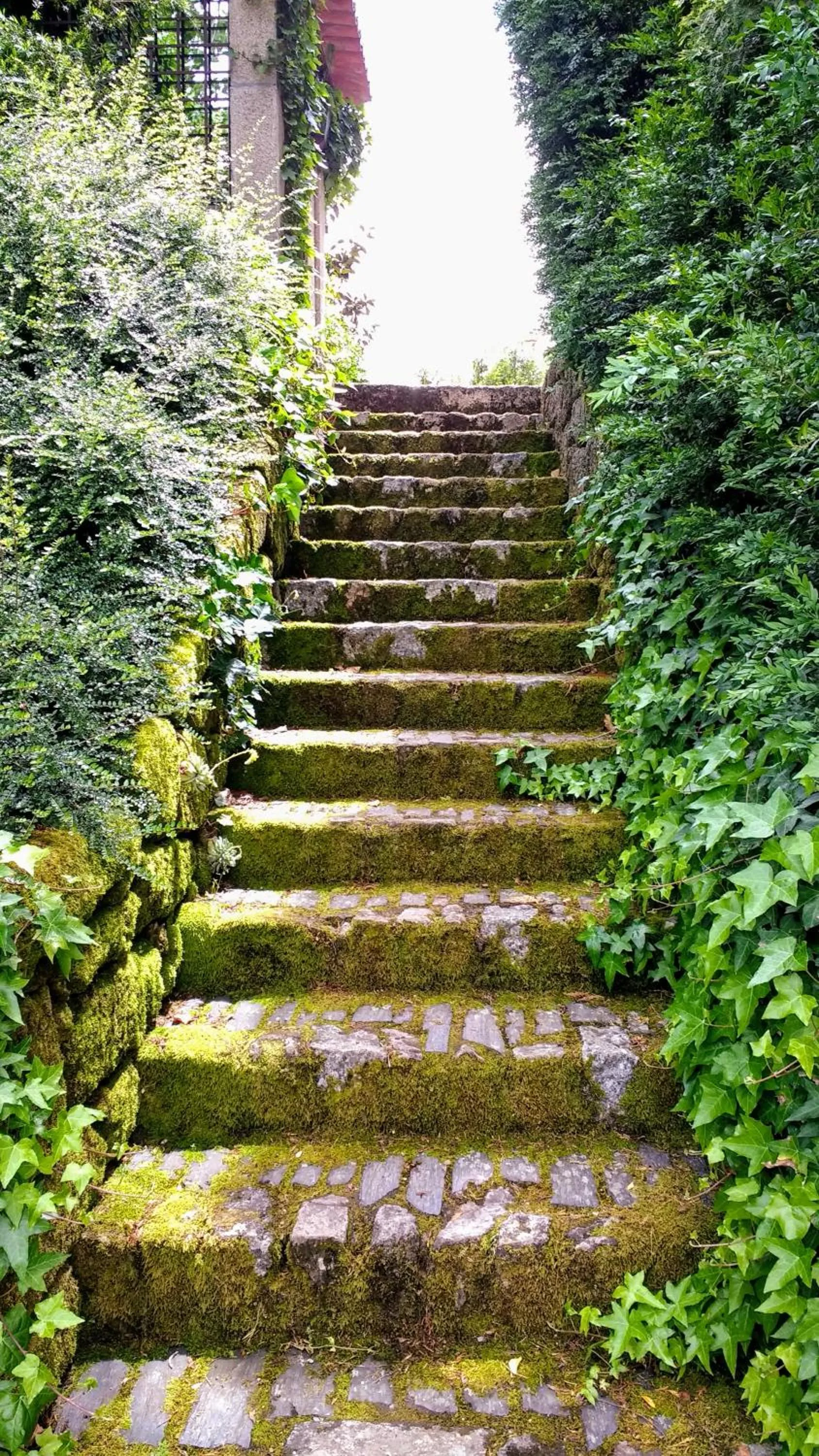 Garden in Casa Do Prado Guesthouse